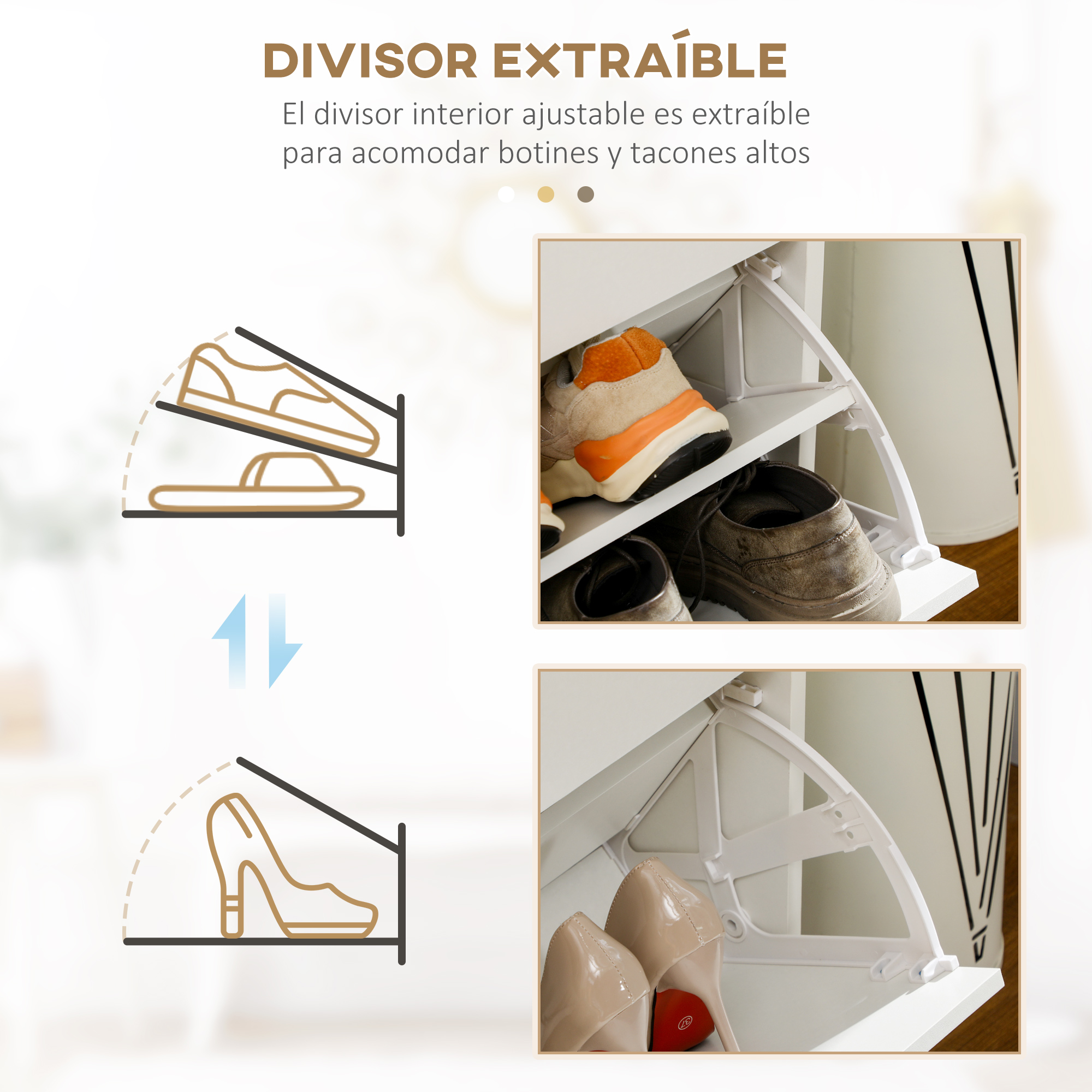 T1008-01-02738 image 3