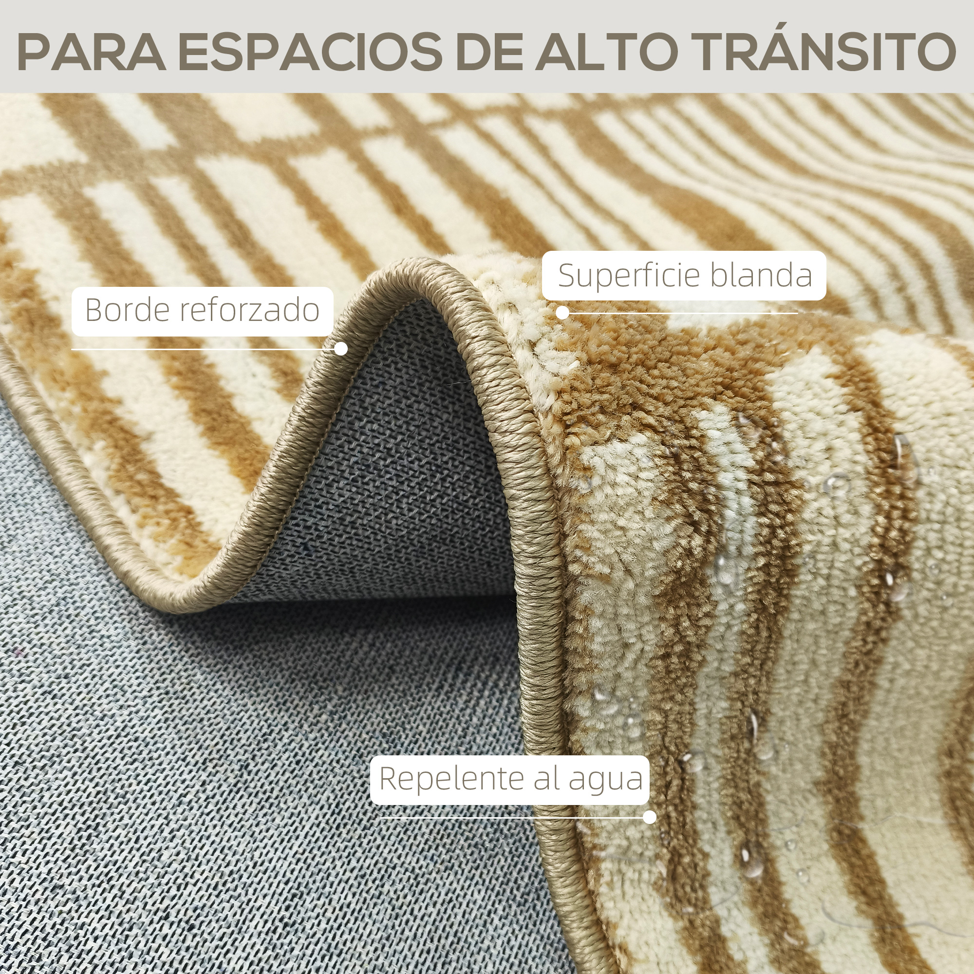T1008-01-05009 image 2