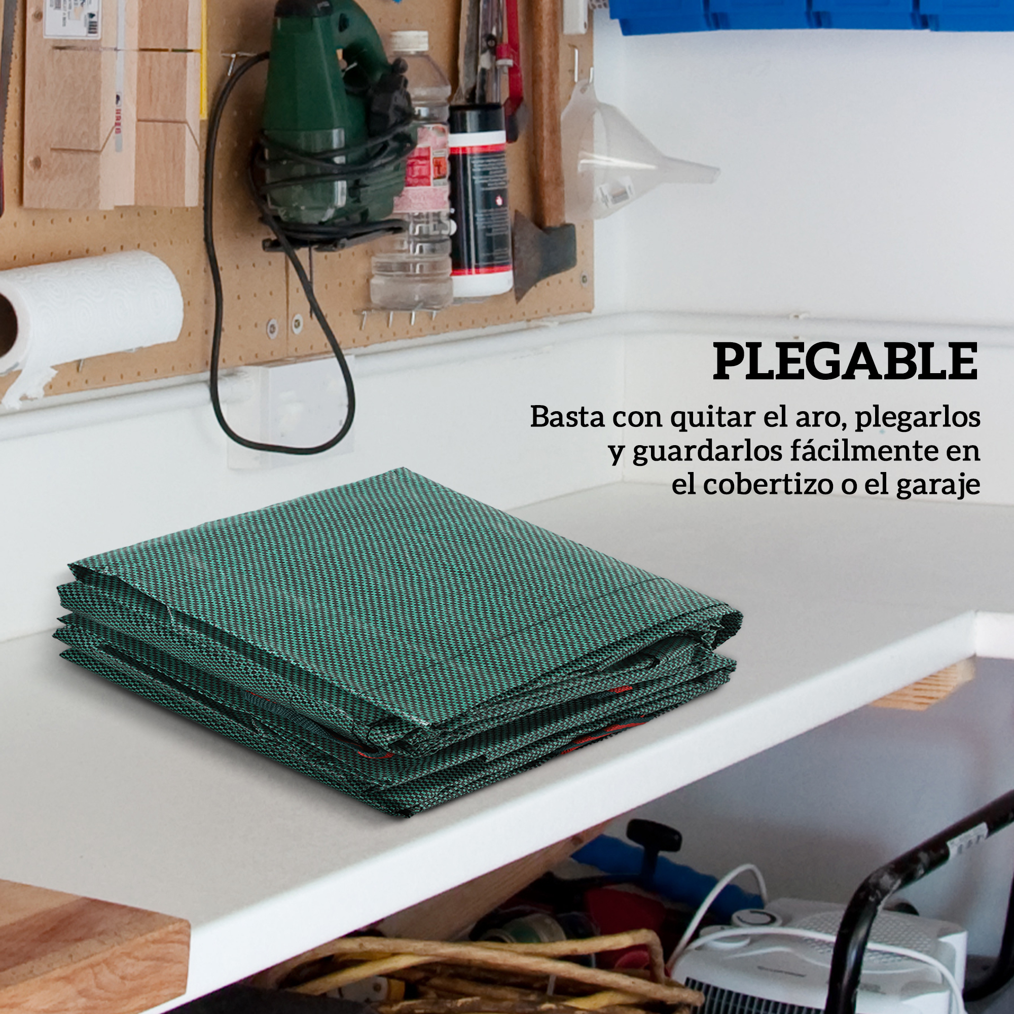 T1008-01-04526 image 4