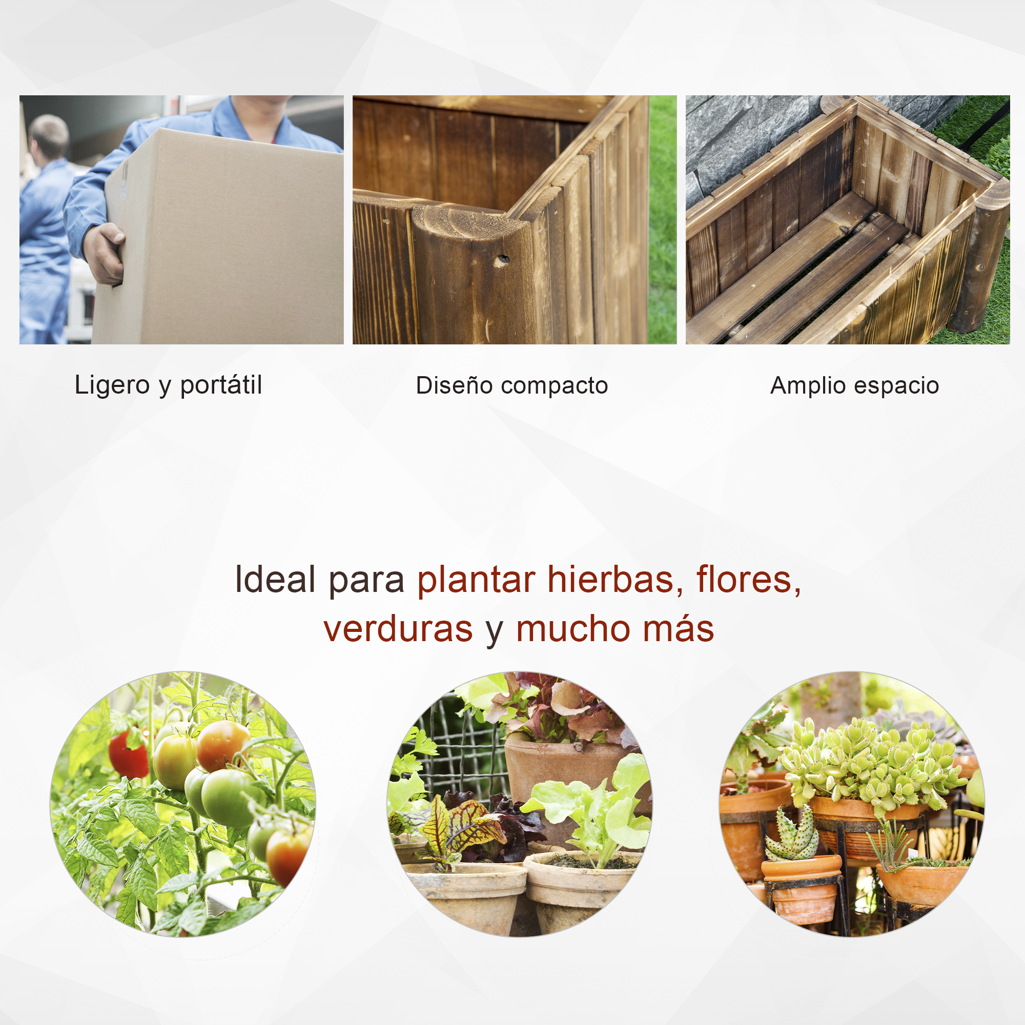 T1008-01-02299 image 3