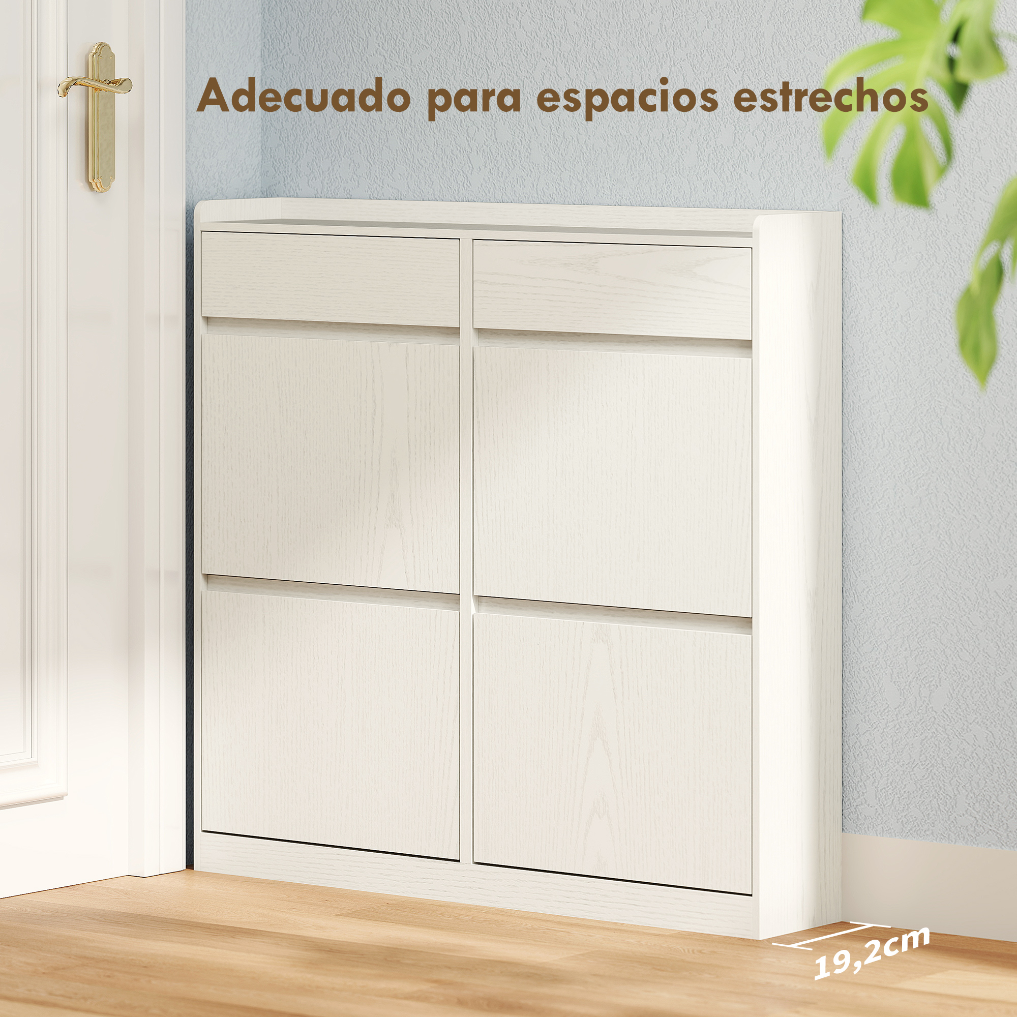 T1008-01-04905 image 1