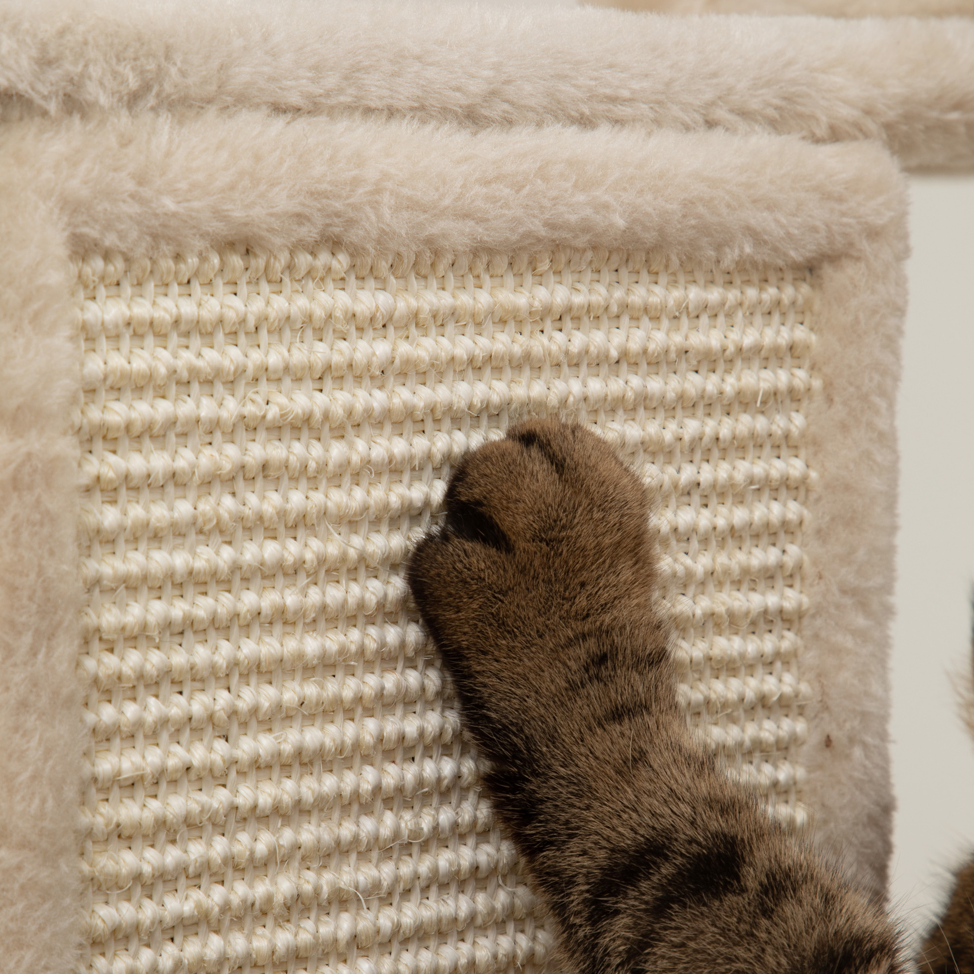 Arbre À Chat De Grande Hauteur Avec Multiples Plateformes Et Hamacs_voghion.com