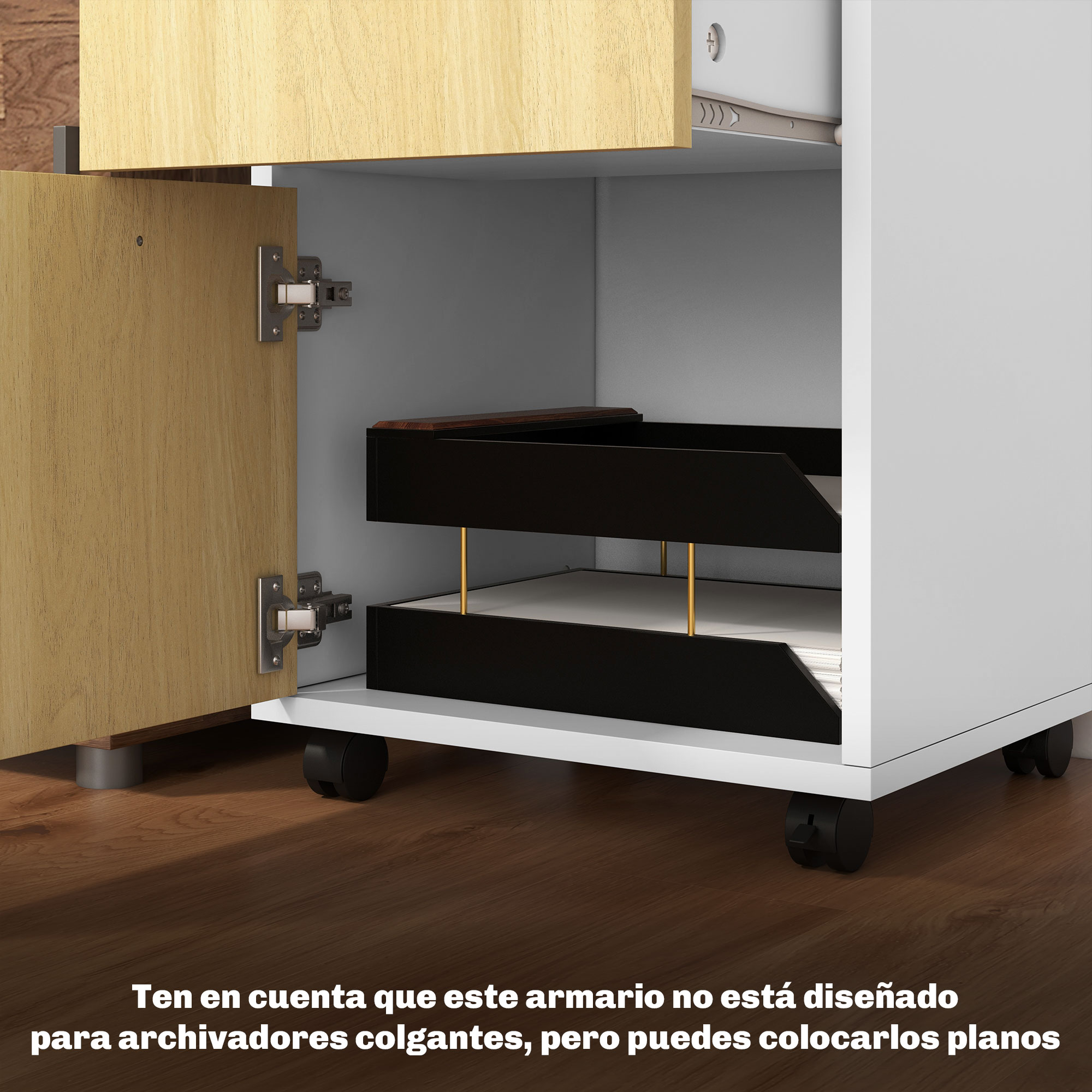 T1008-01-03303 image 4