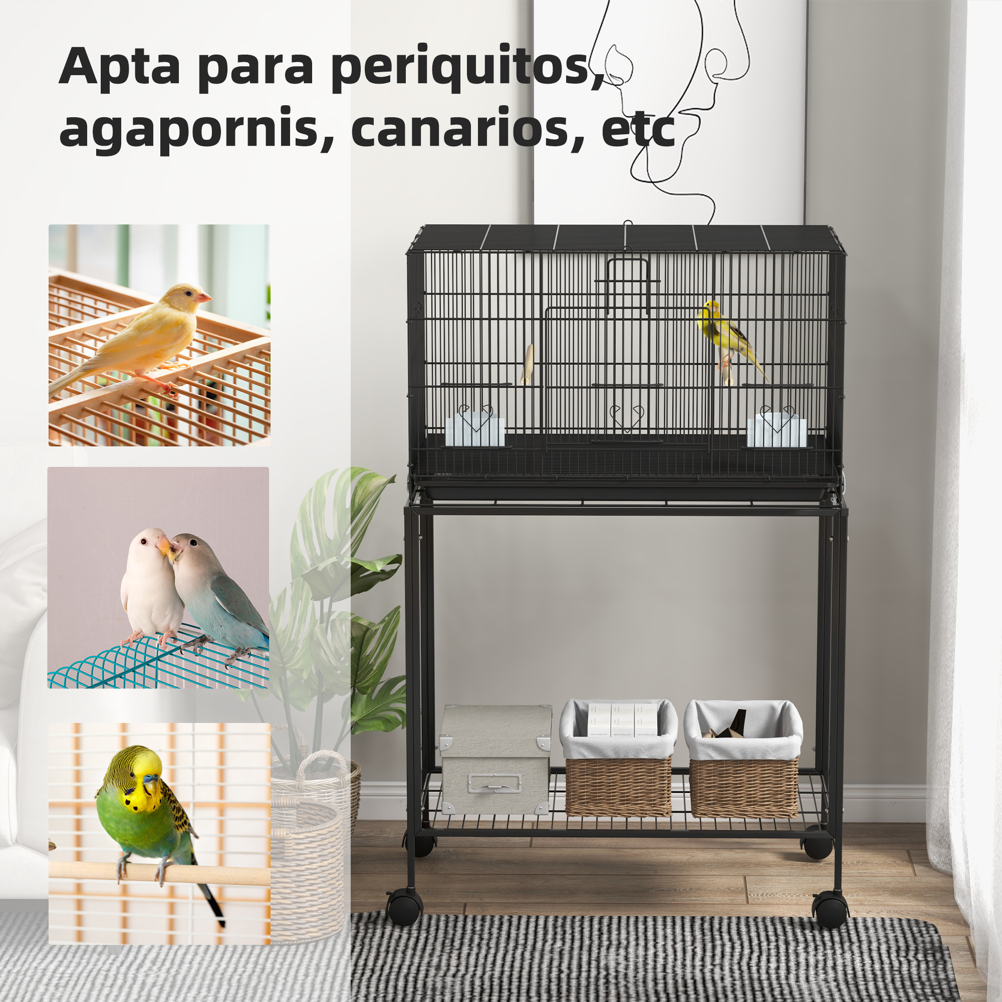 T1008-01-02323 image 3