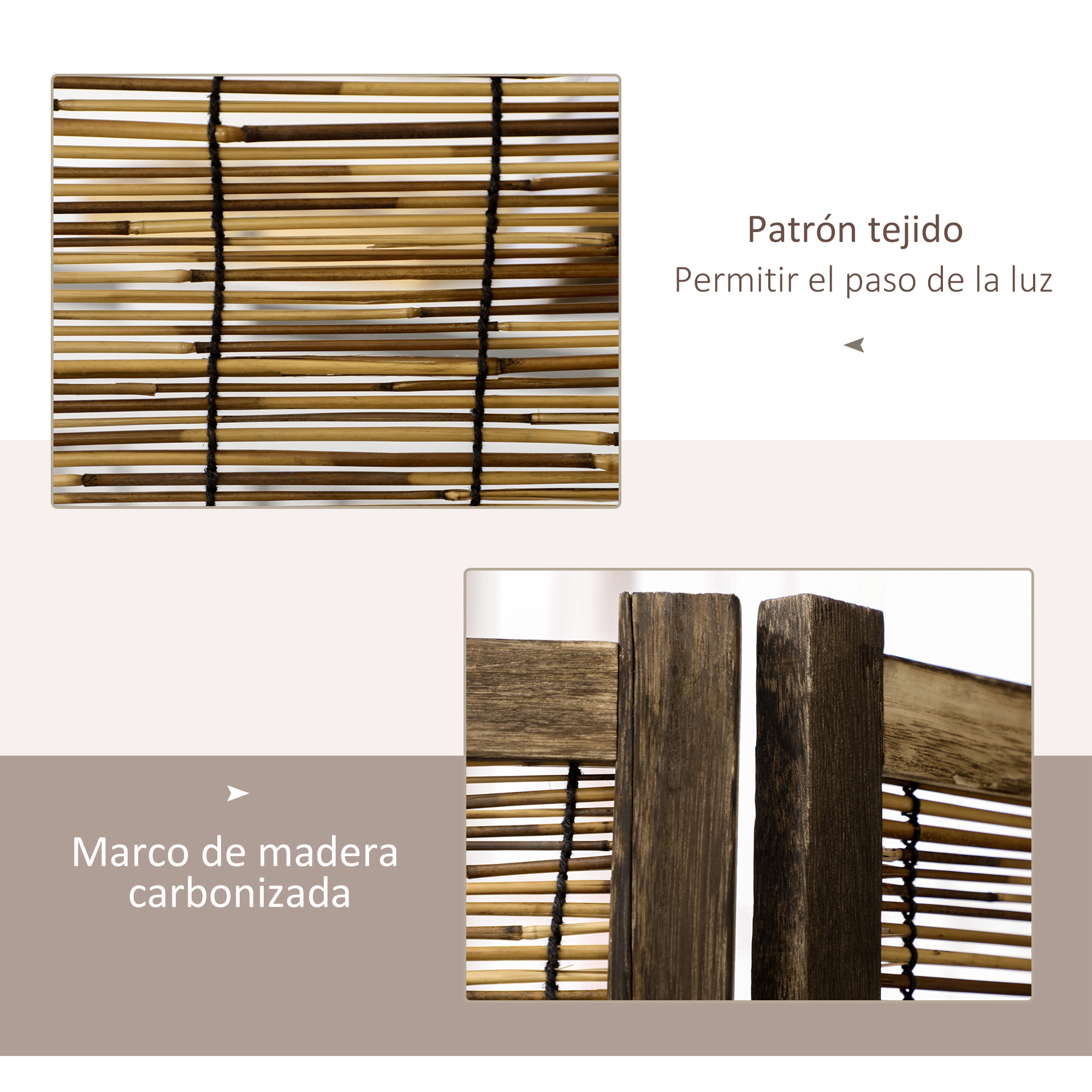 T1008-01-02583 image 1