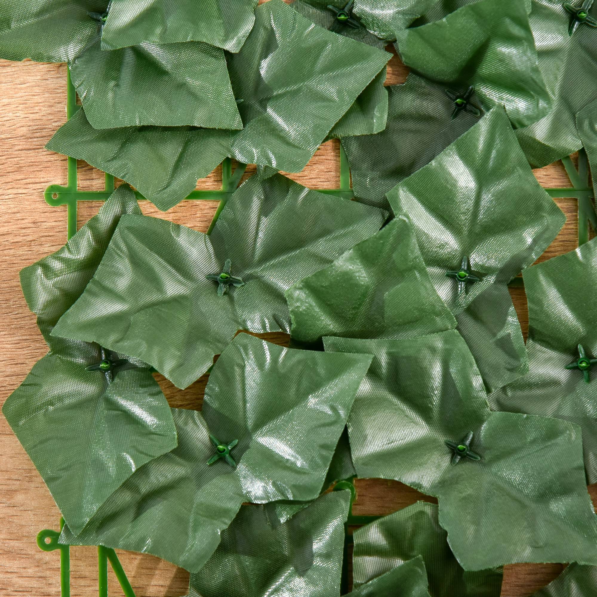 T1008-01-00594 image 6