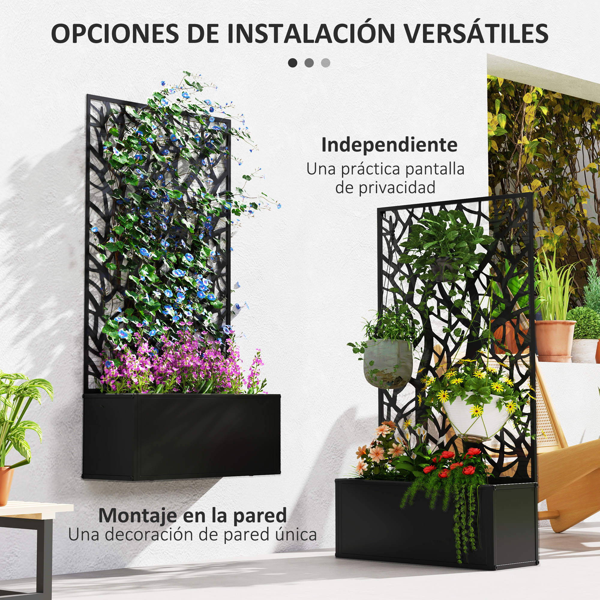 T1008-01-04173 image 2