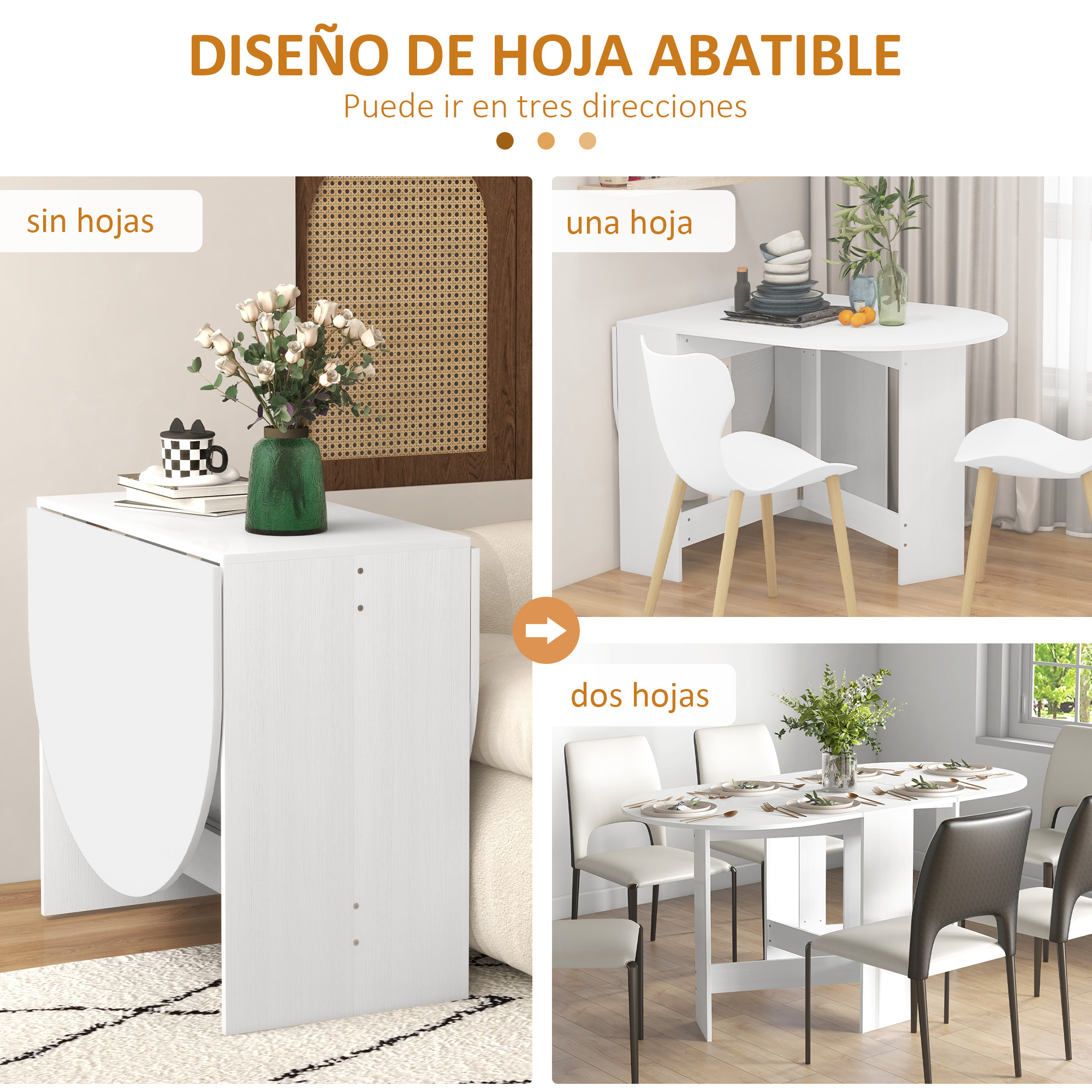 T1008-01-03005 image 1
