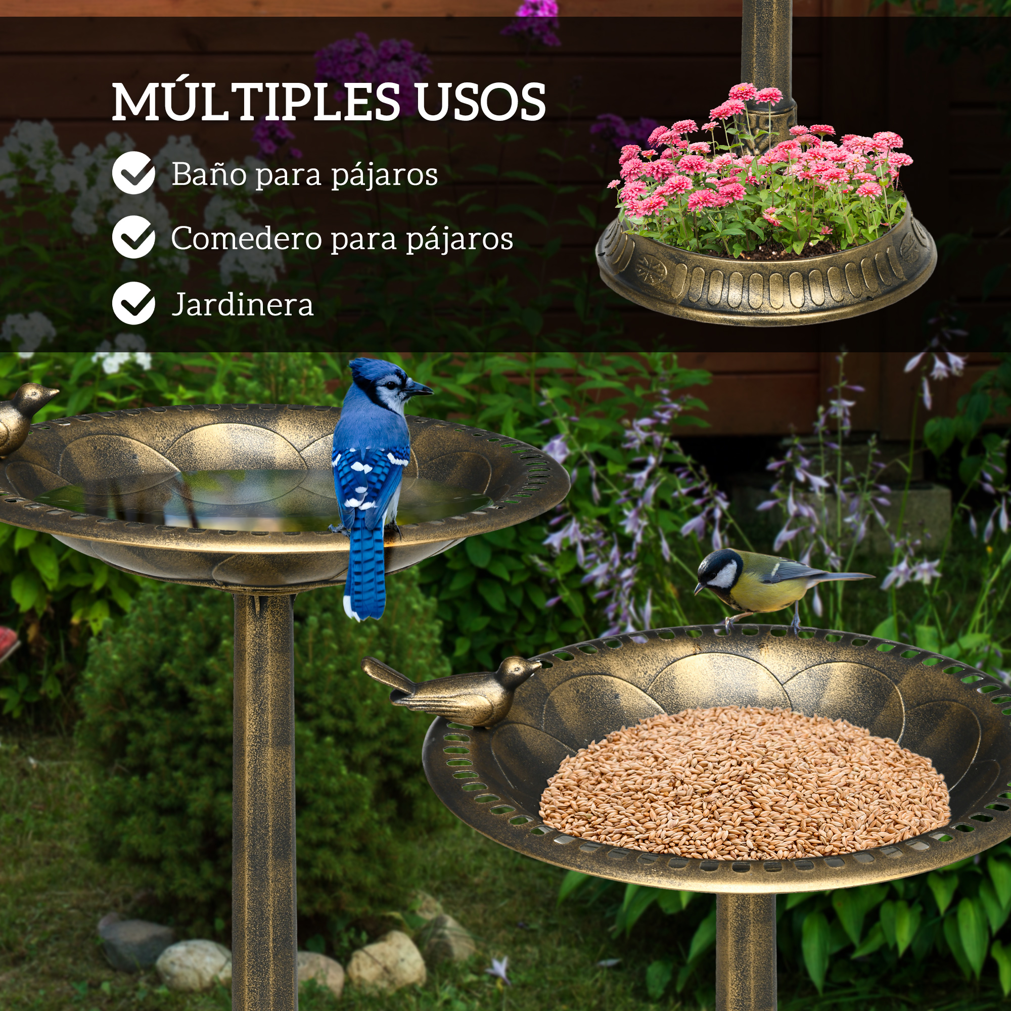 T1008-01-04202 image 1