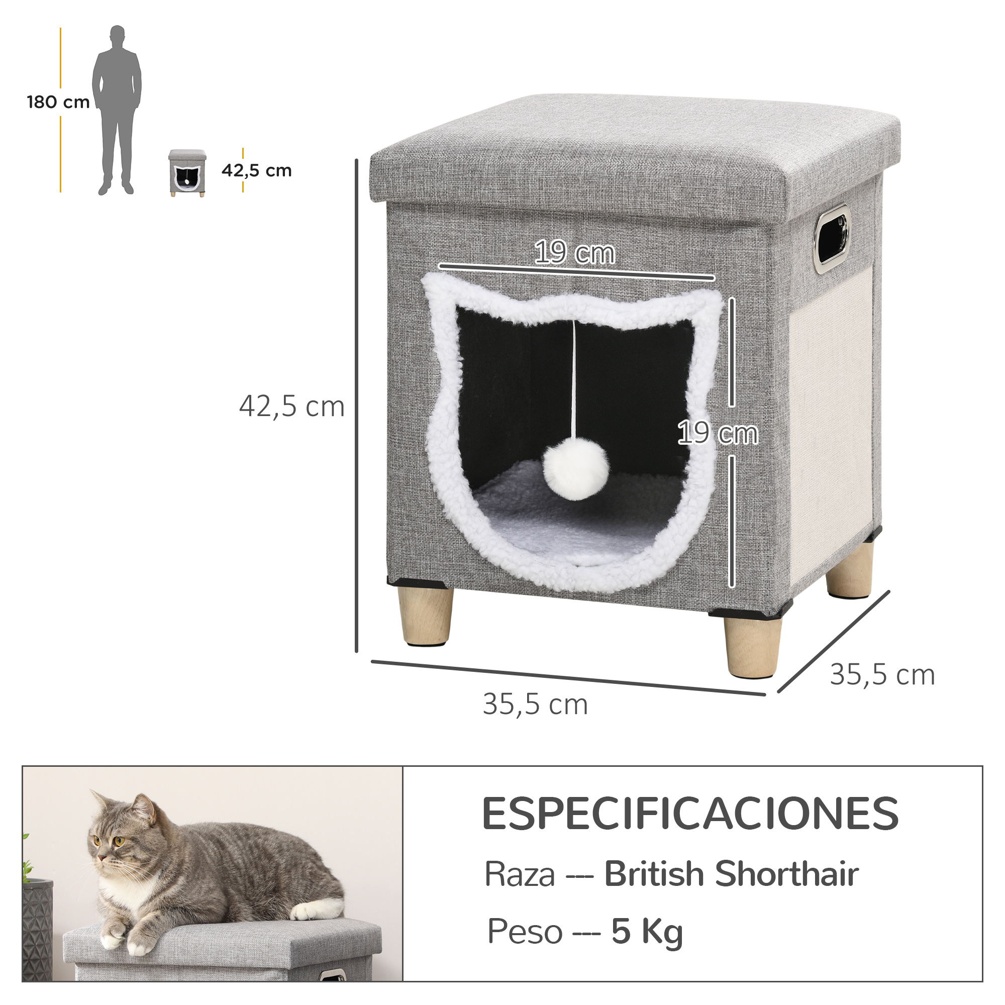 Cat Bed With Scratching Pad And Hanging Toy Removable Cushion_voghion.com