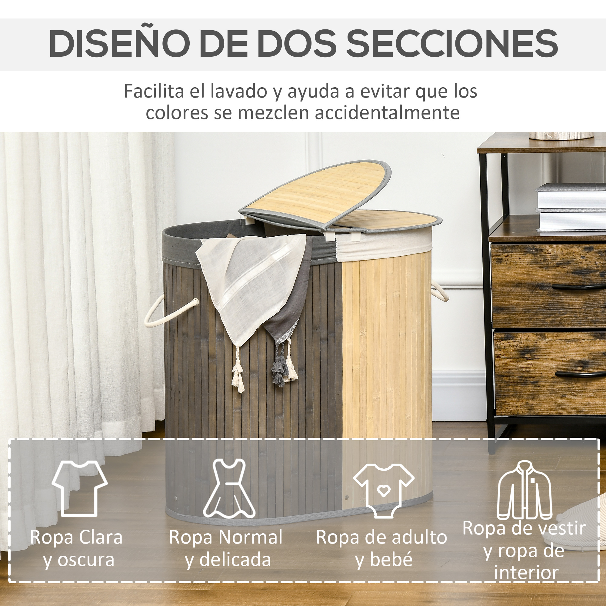 T1008-01-01729 image 3