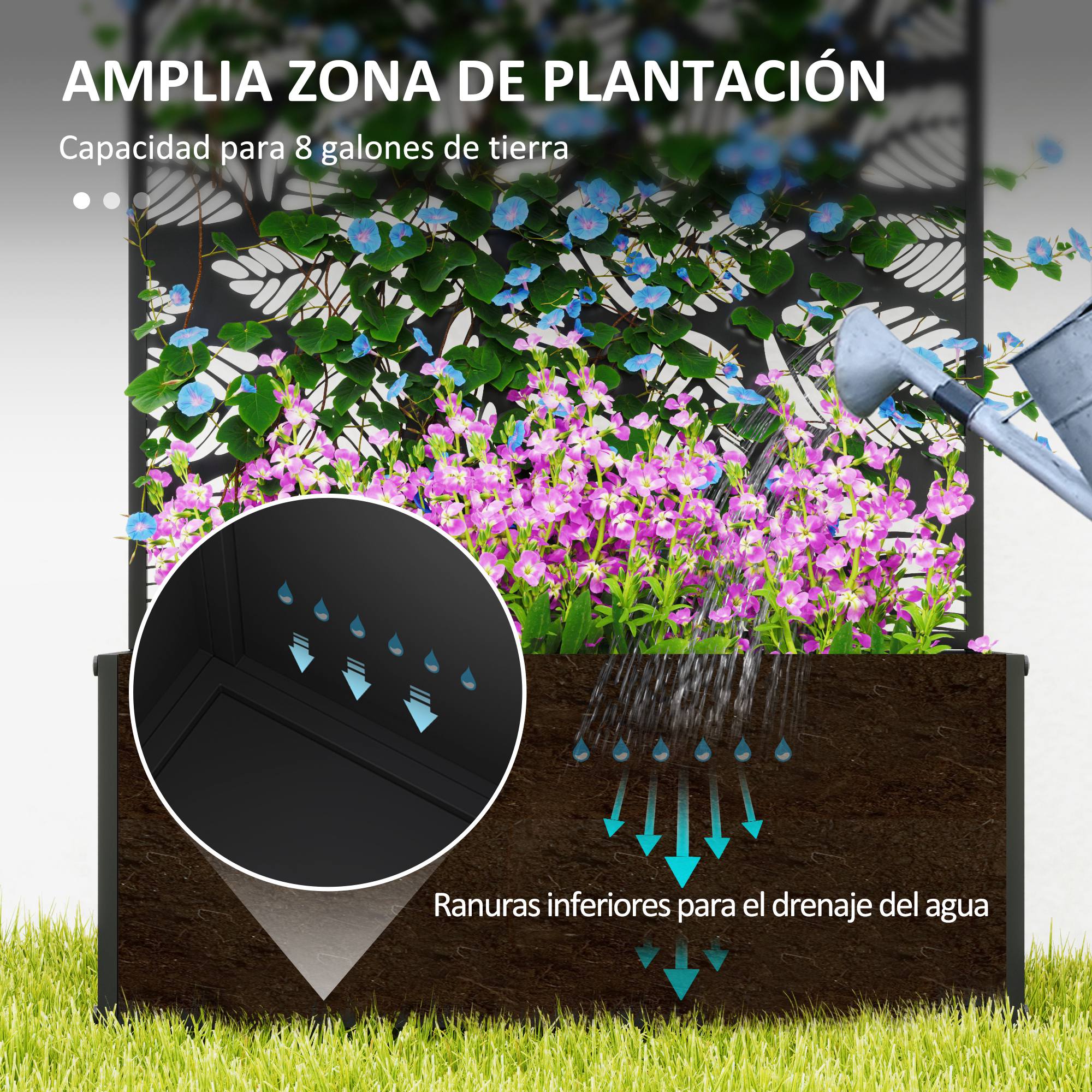 T1008-01-04177 image 1