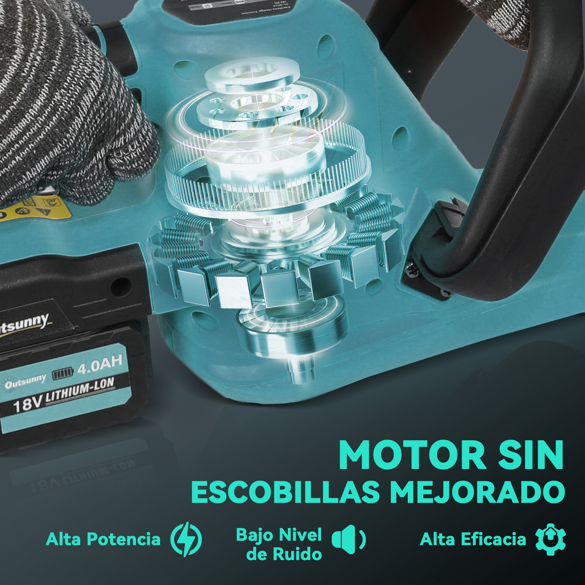 T1008-01-04949 image 1