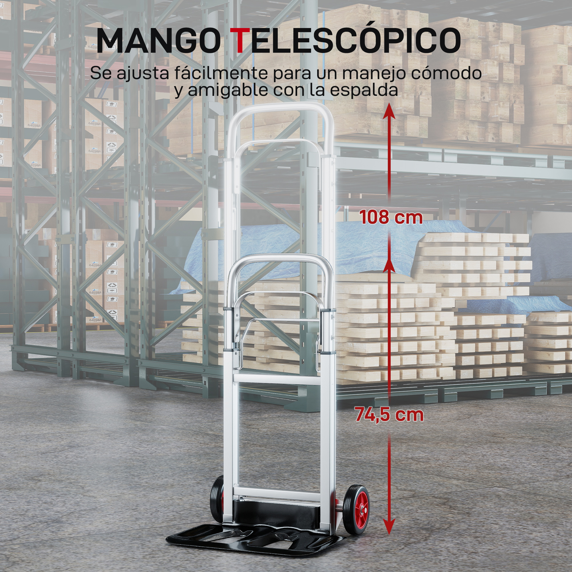 T1008-01-05938 image 2