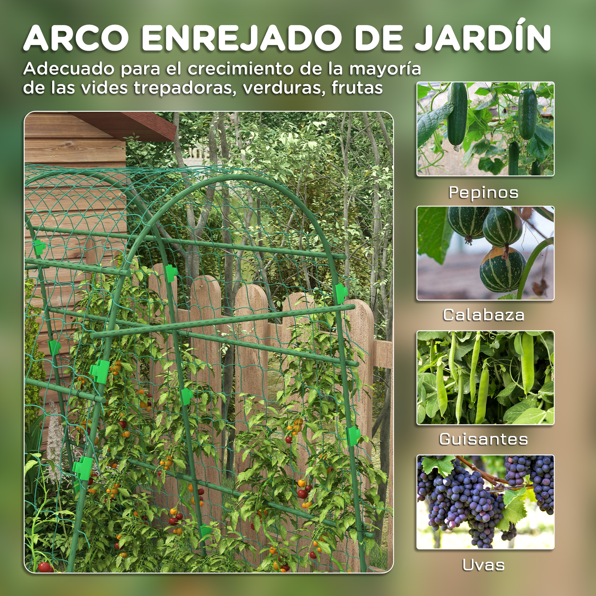 T1008-01-07458 image 1