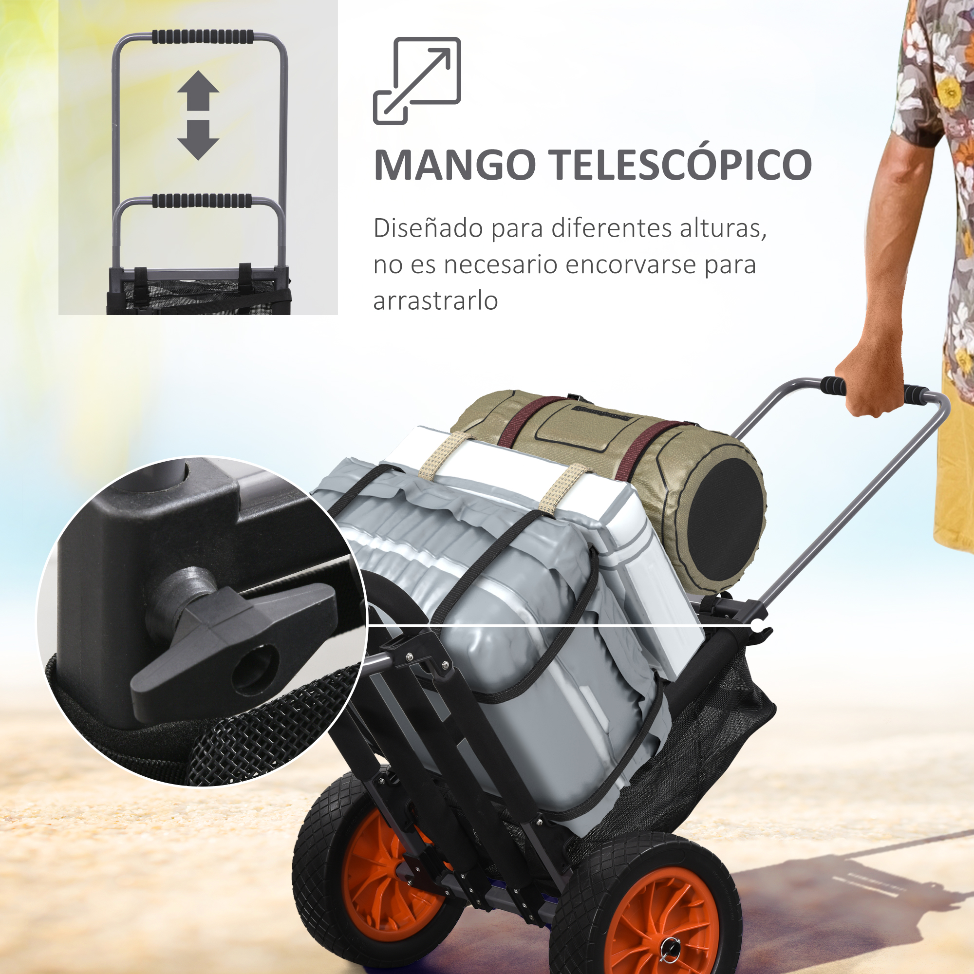 T1008-01-06532 image 2