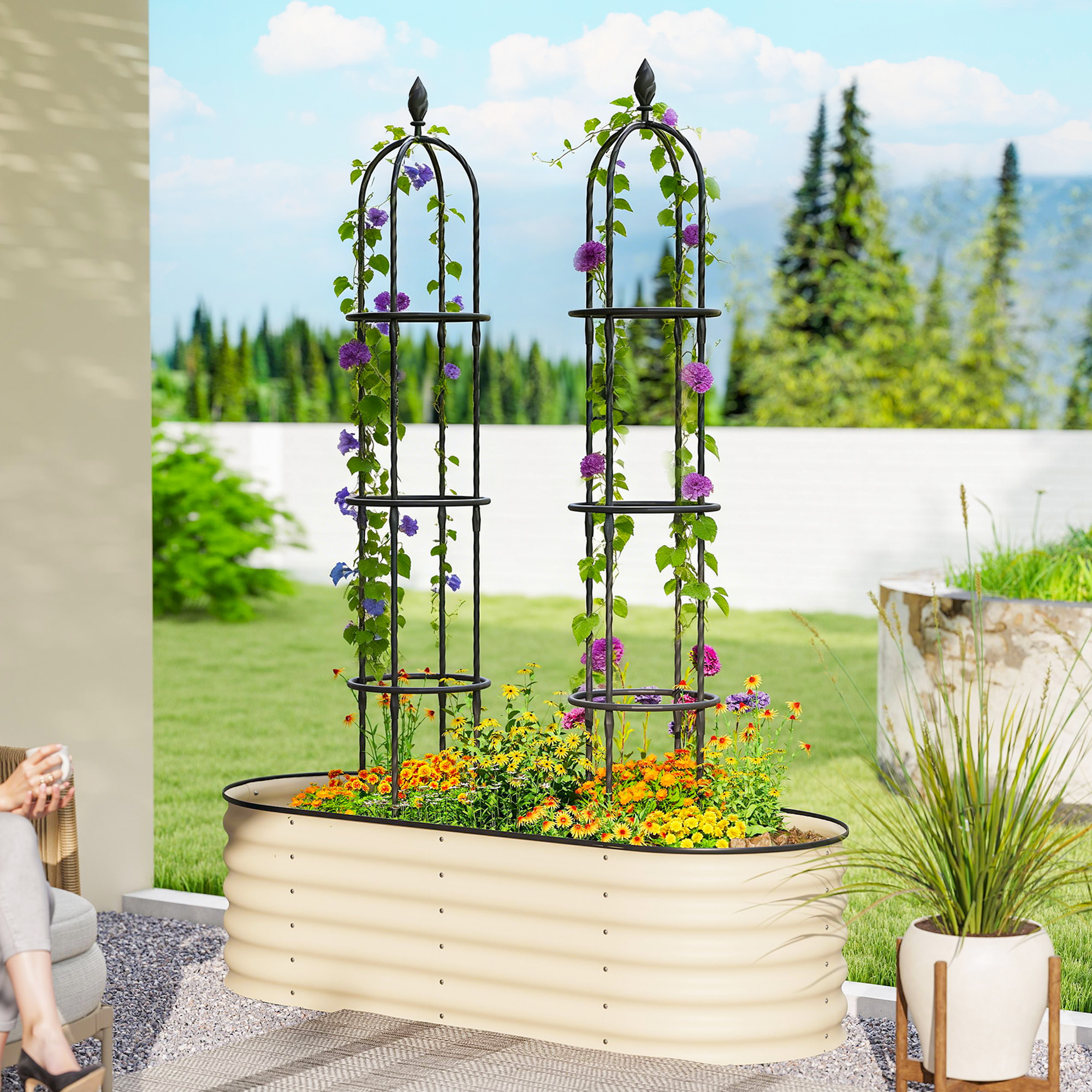 T1008-01-09309 image 6