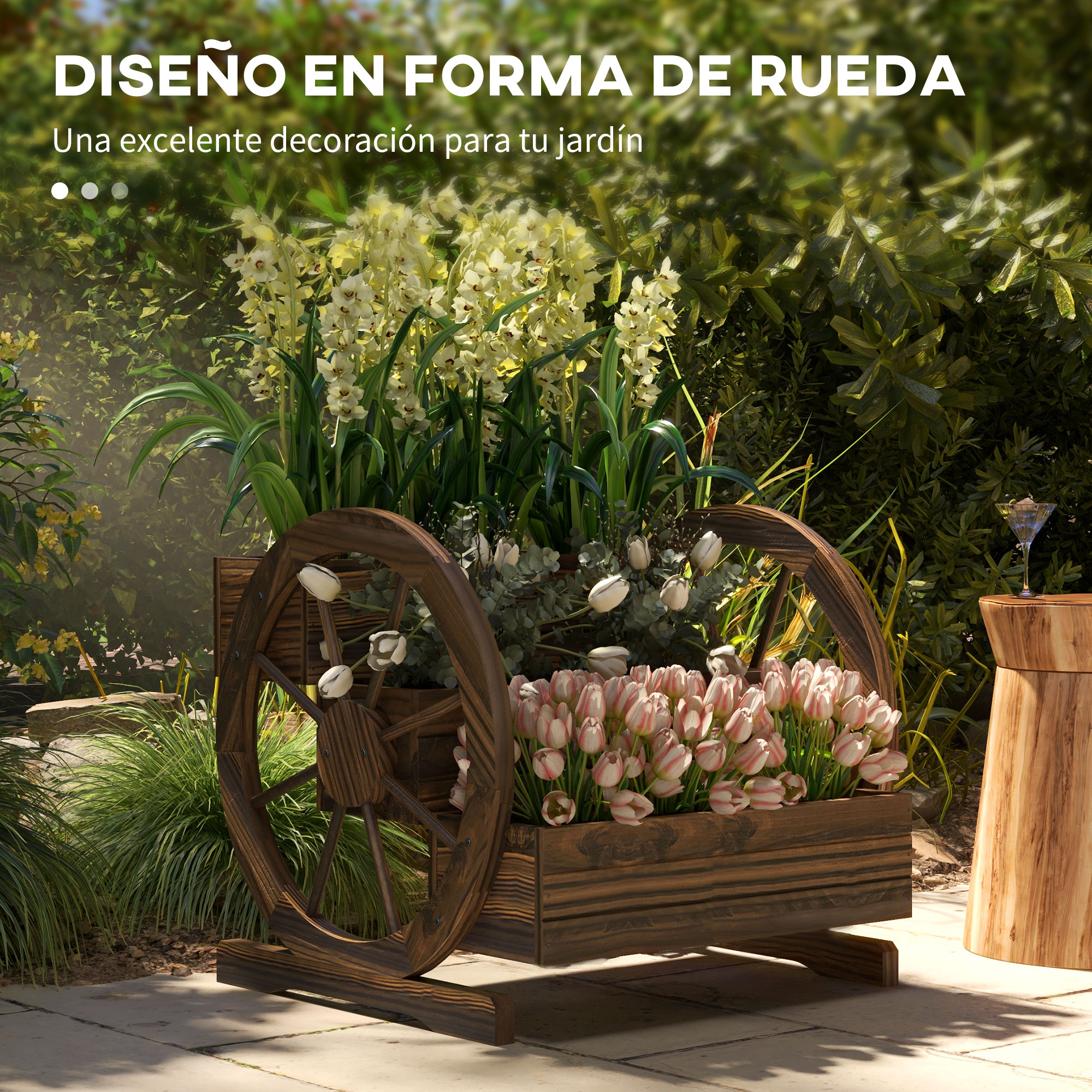 T1008-01-07541 image 1