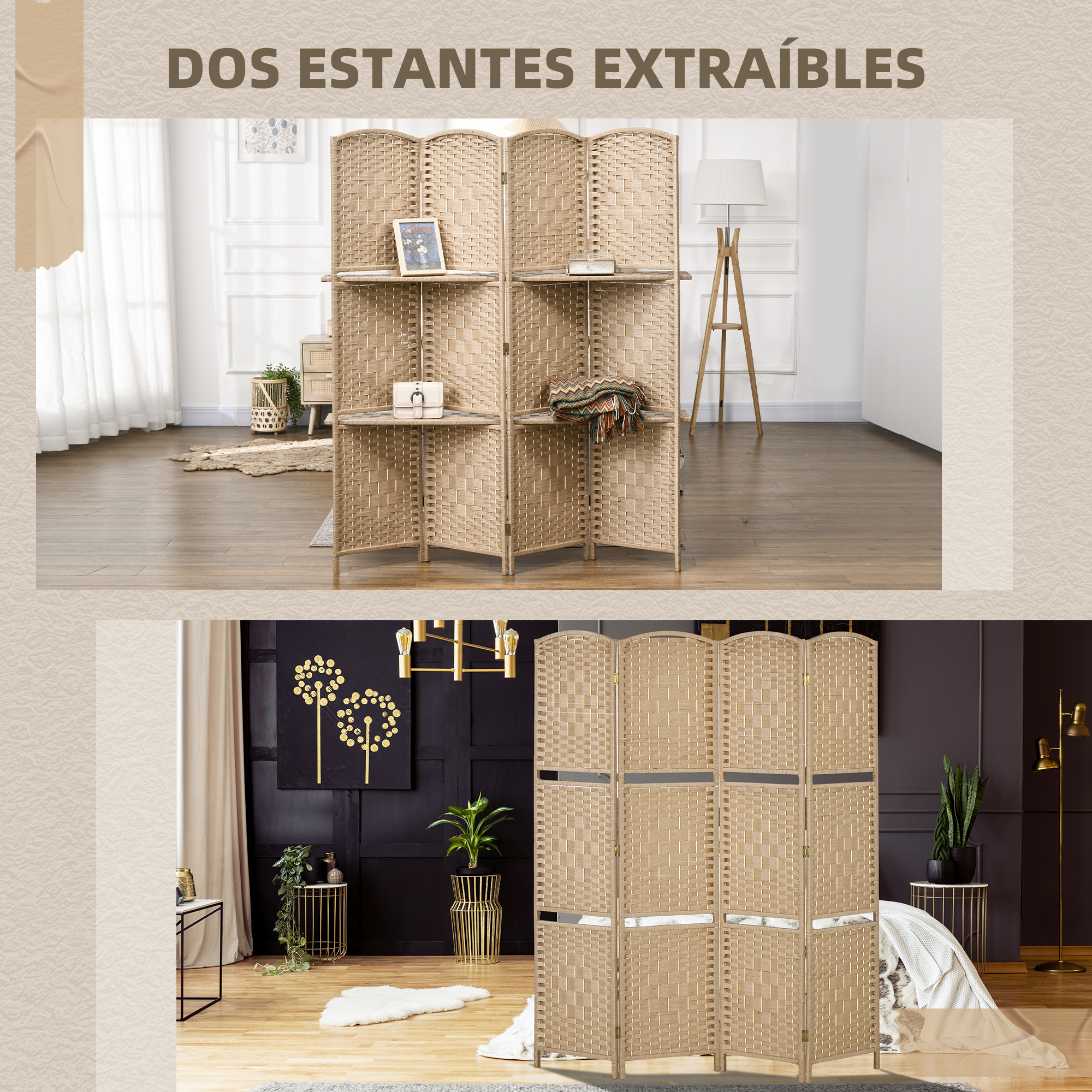 T1008-01-09815 image 2