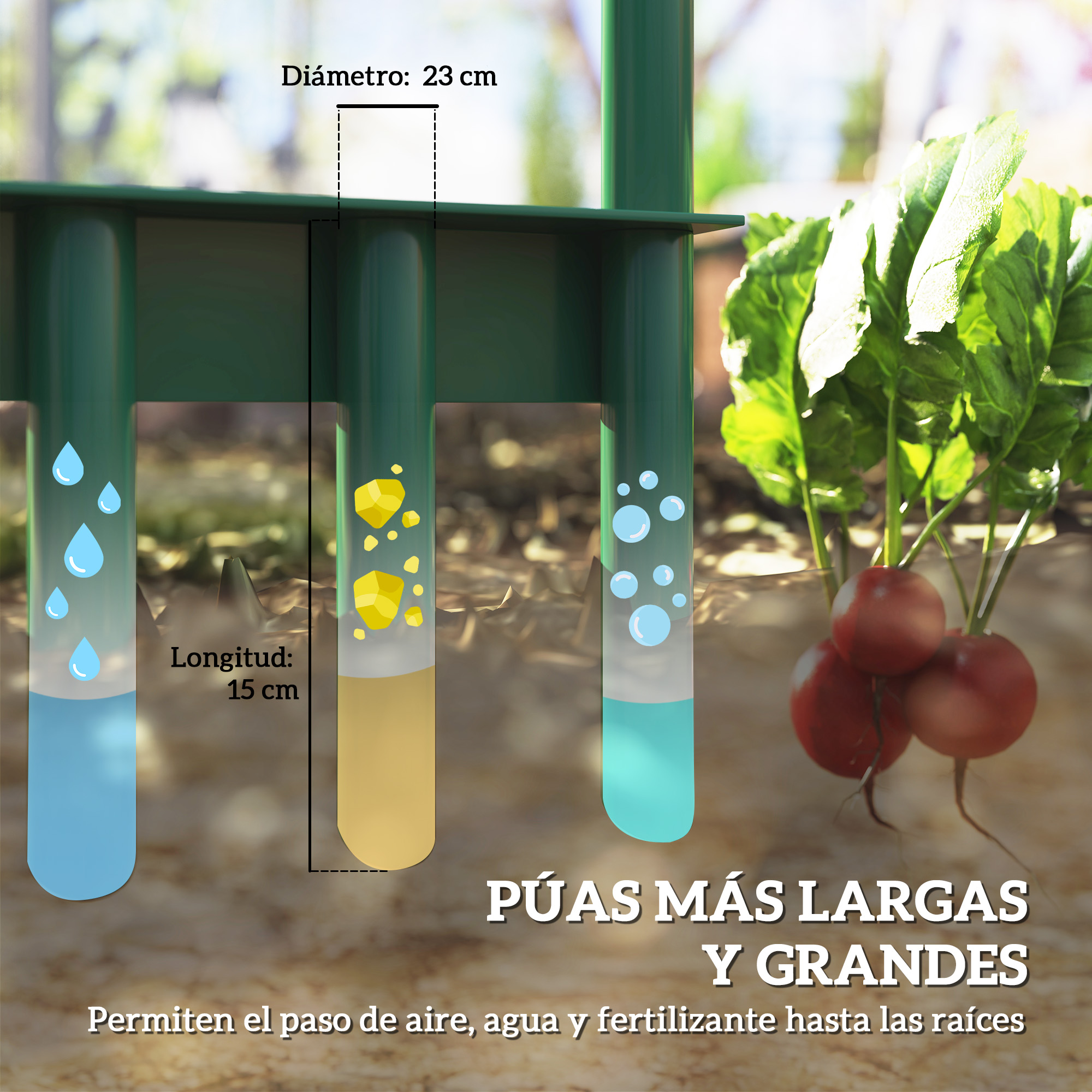 T1008-01-06667 image 1