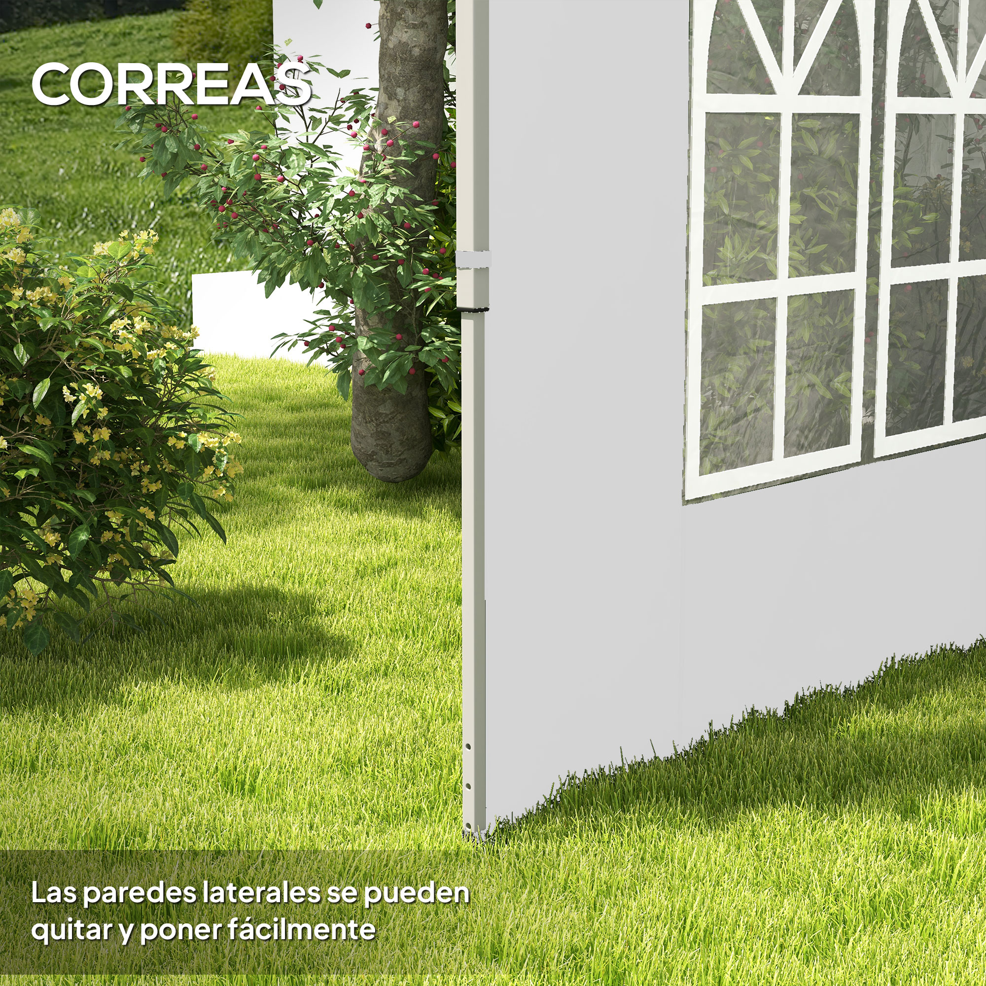 T1008-01-06934 image 2