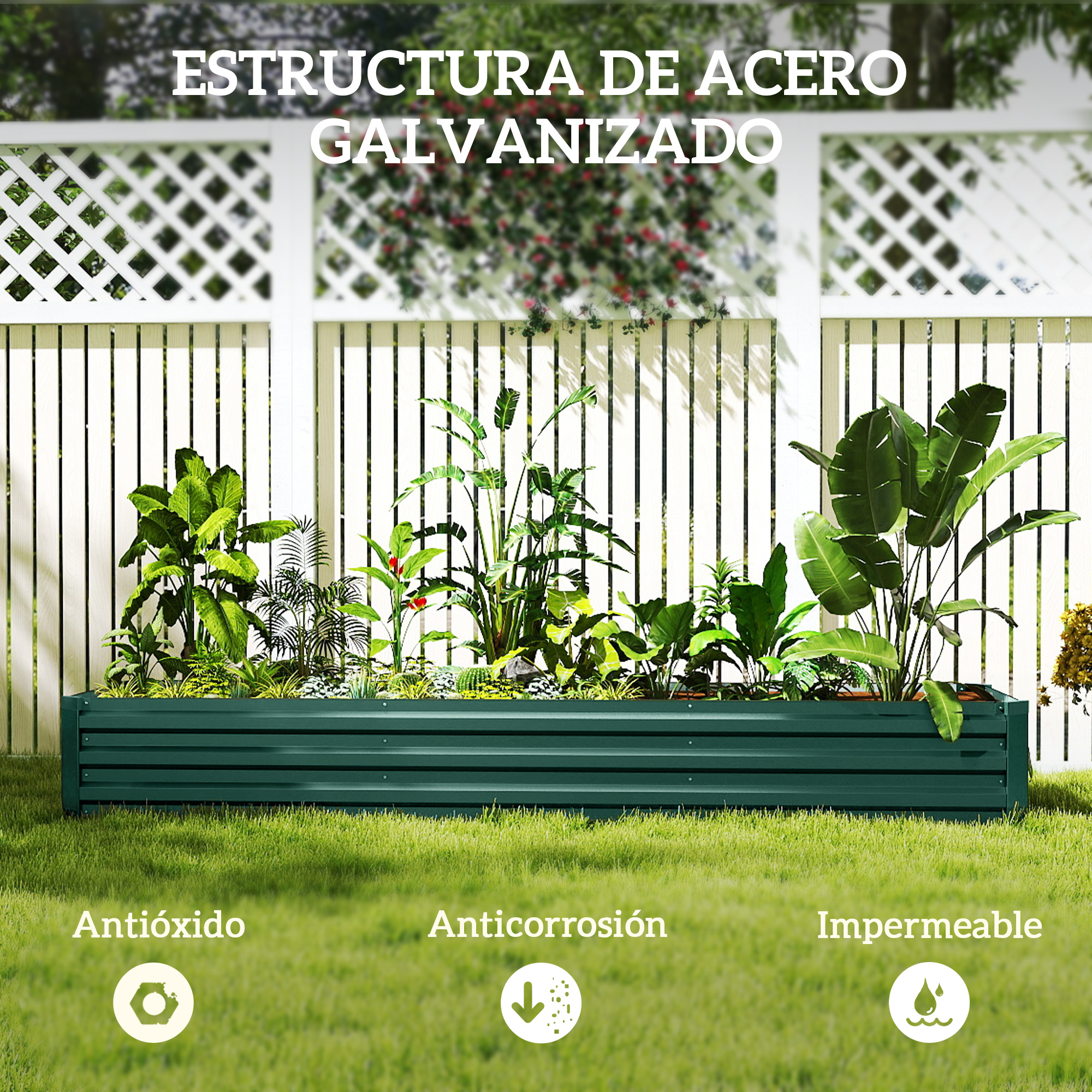 T1008-01-08434 image 2