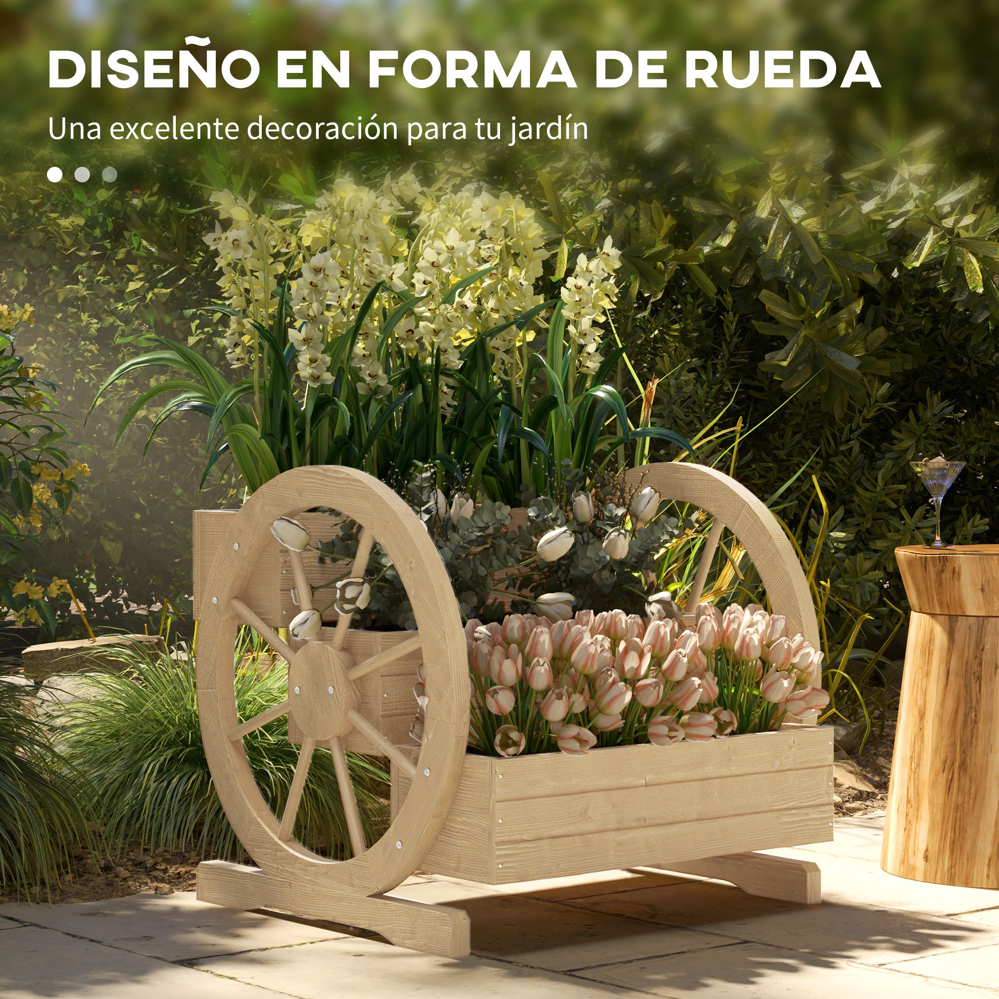 T1008-01-09755 image 1
