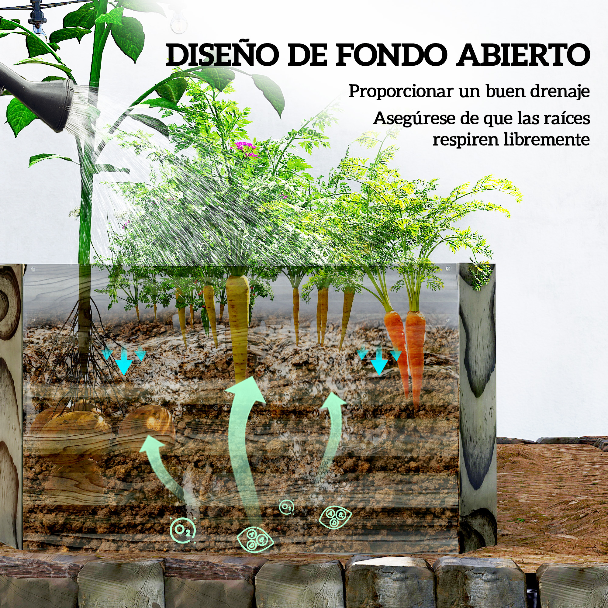 T1008-01-07151 image 3