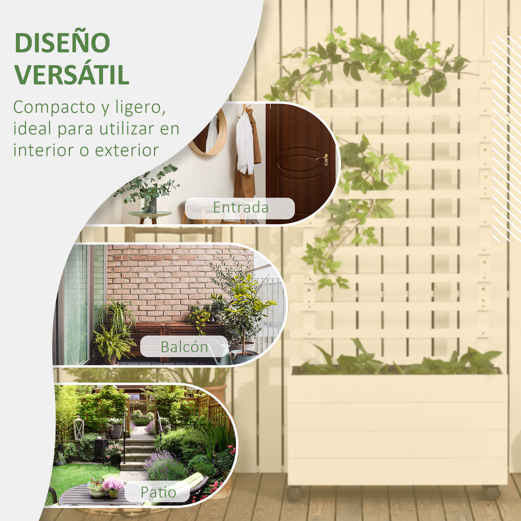 T1008-01-08195 image 1