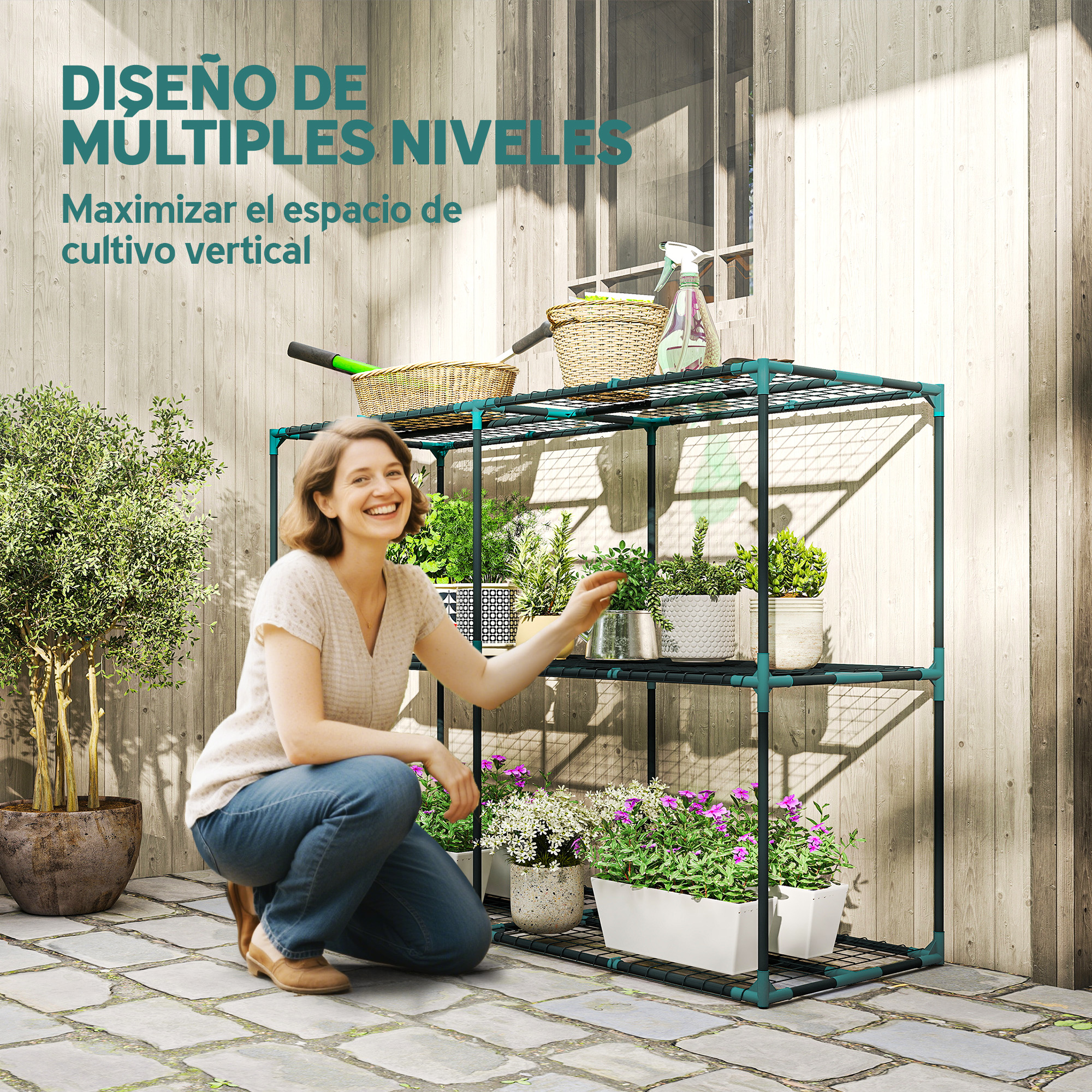 T1008-01-08872 image 1