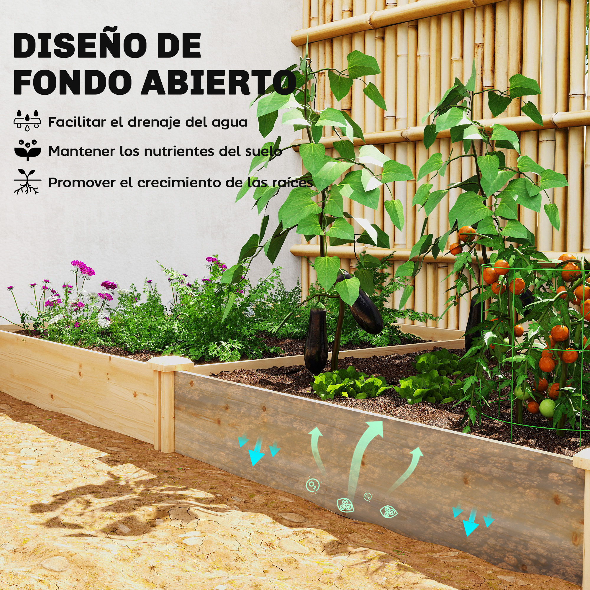 T1008-01-07013 image 2