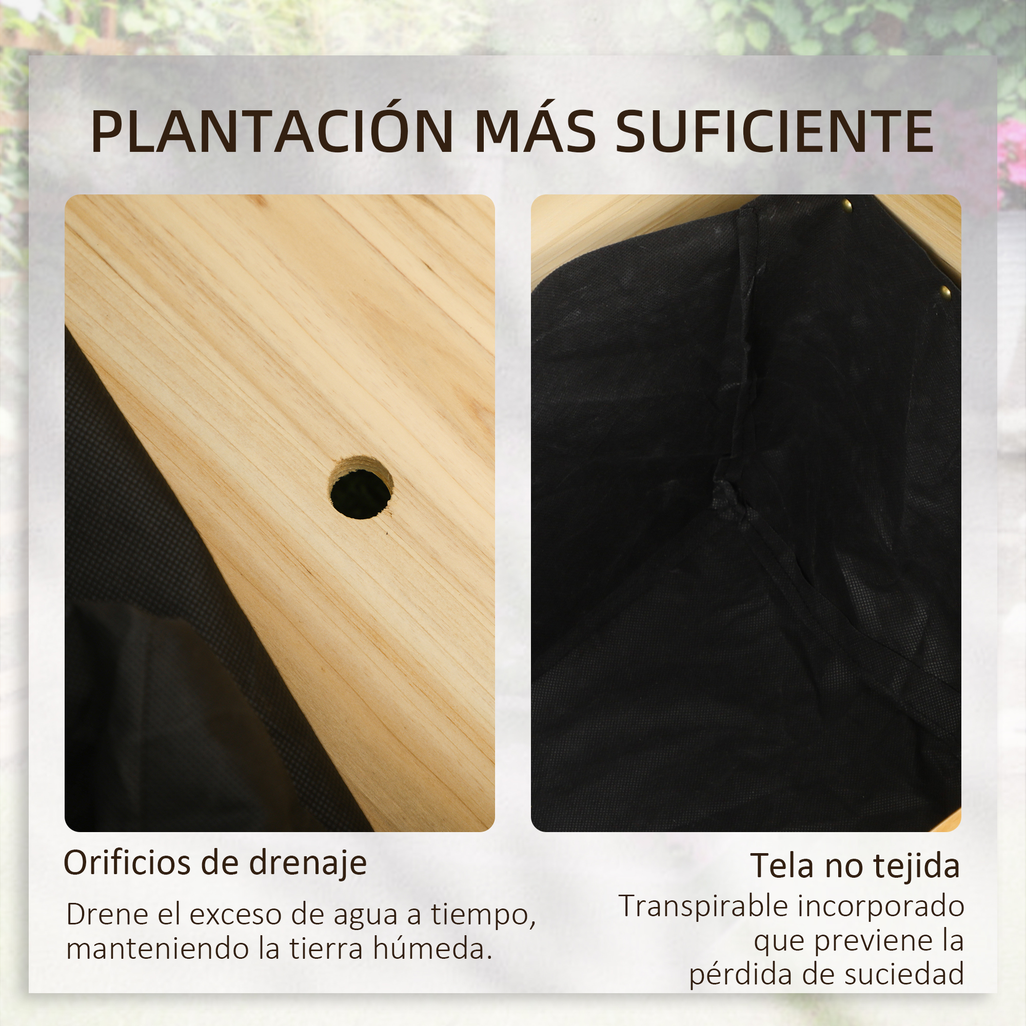 T1008-01-10109 image 3