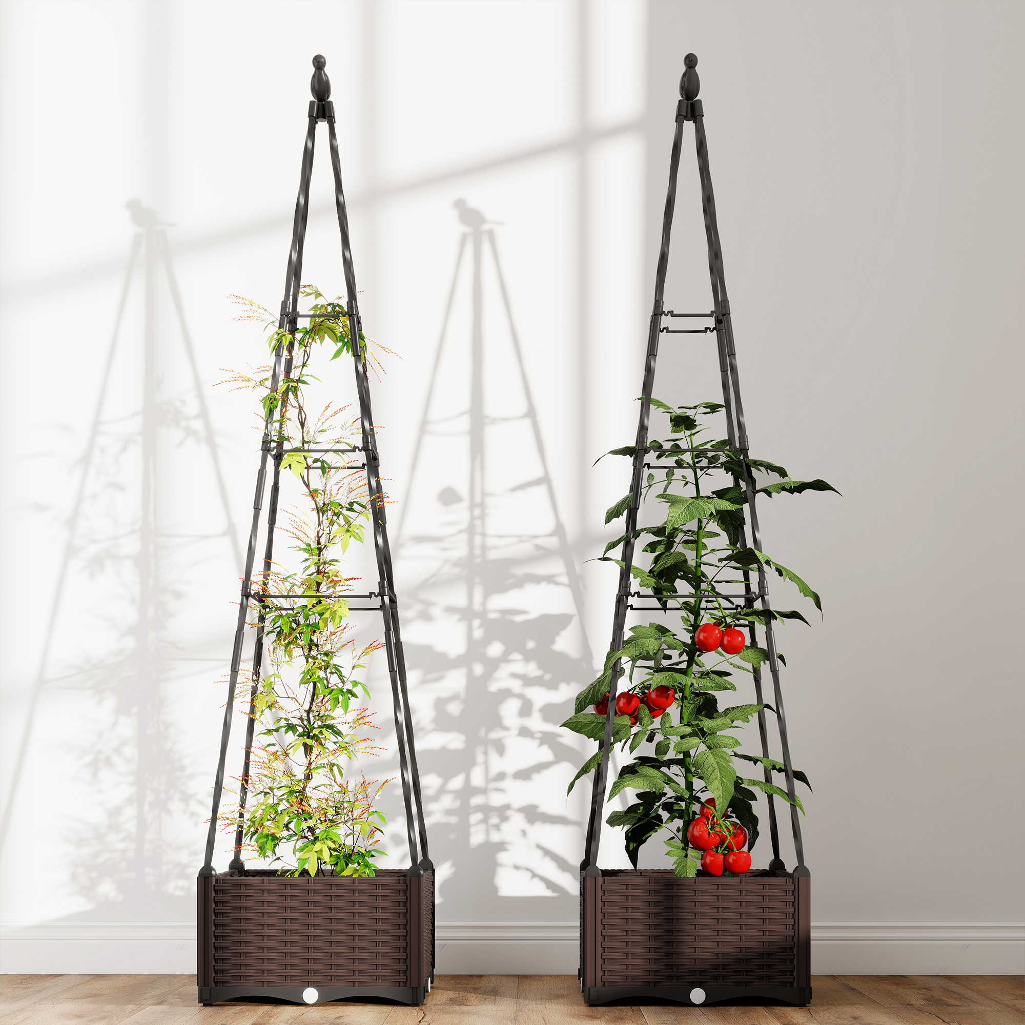T1008-01-10103 image 6