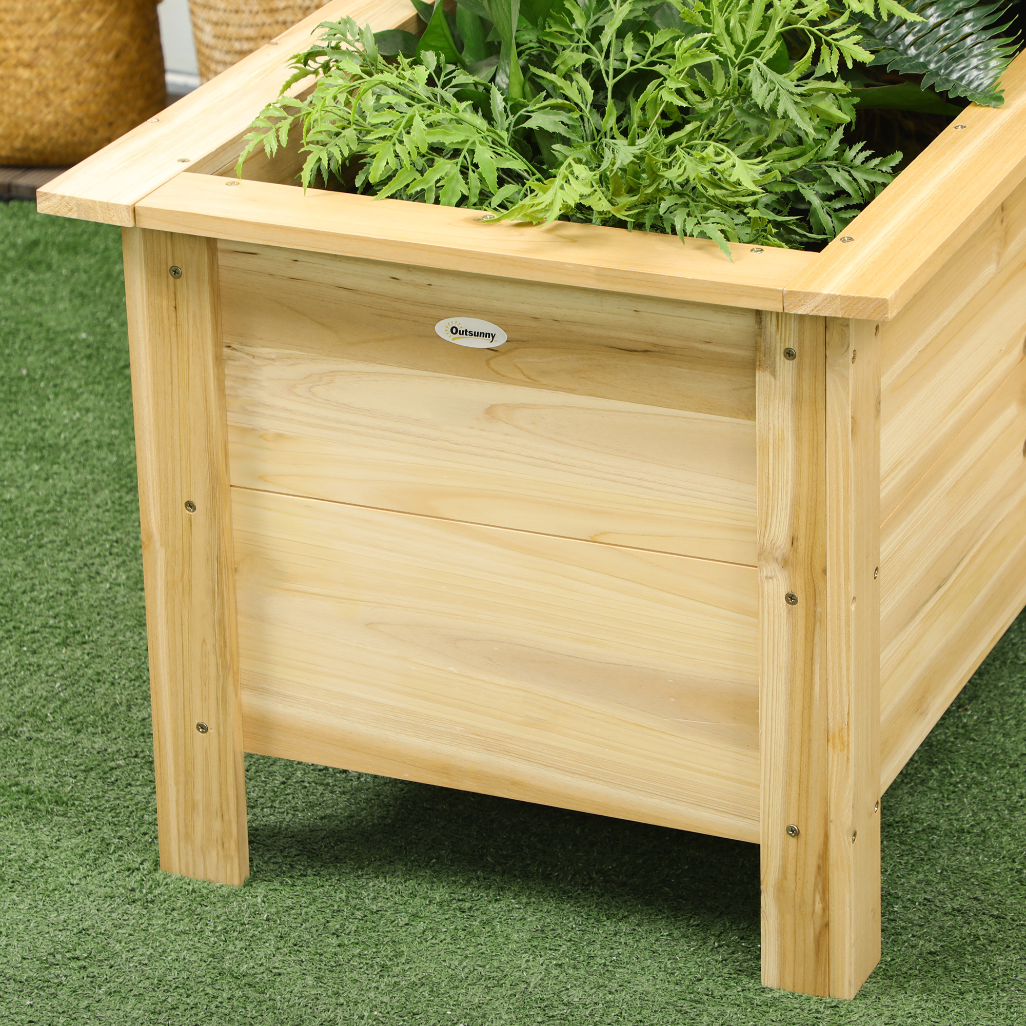 T1008-01-10109 image 6