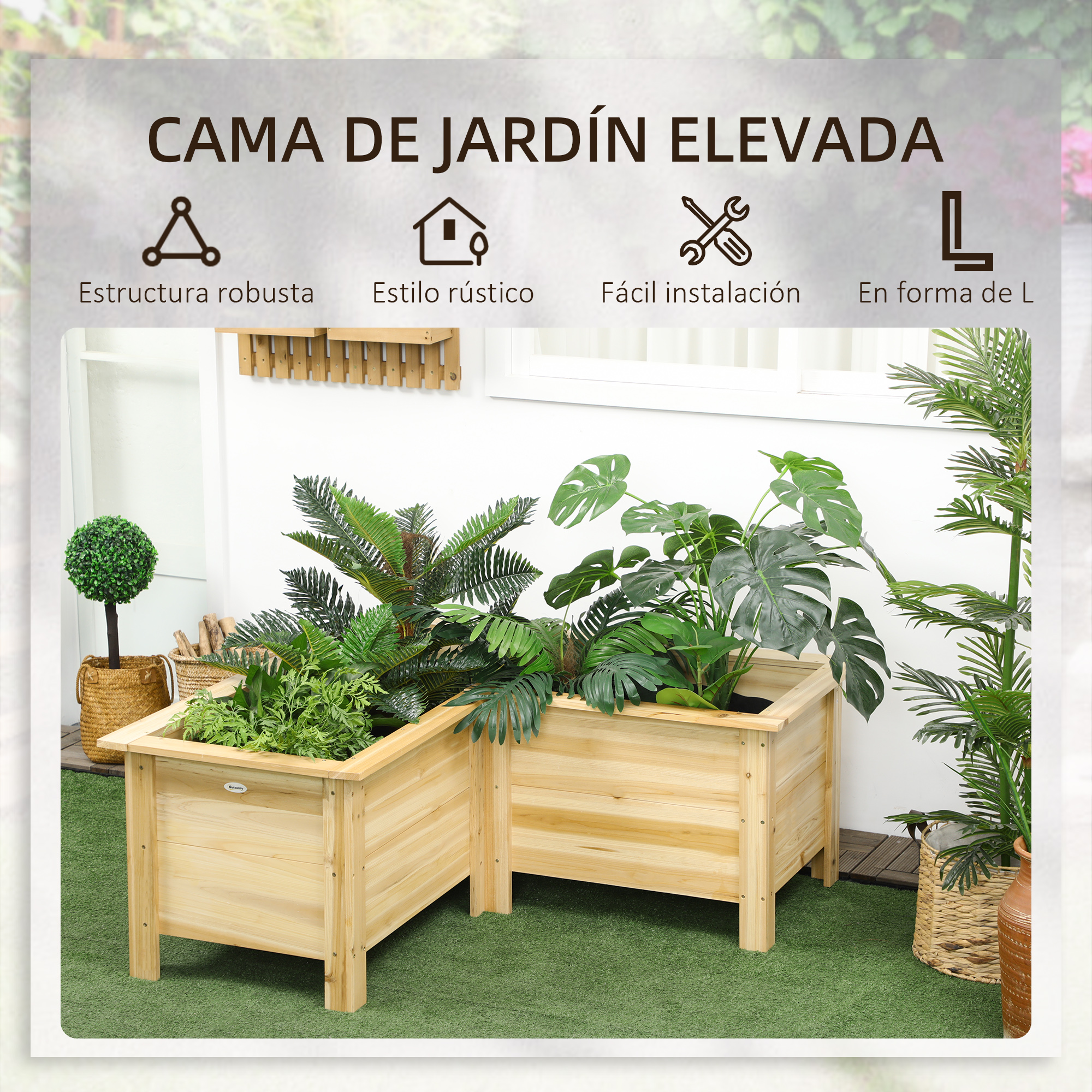T1008-01-10109 image 1