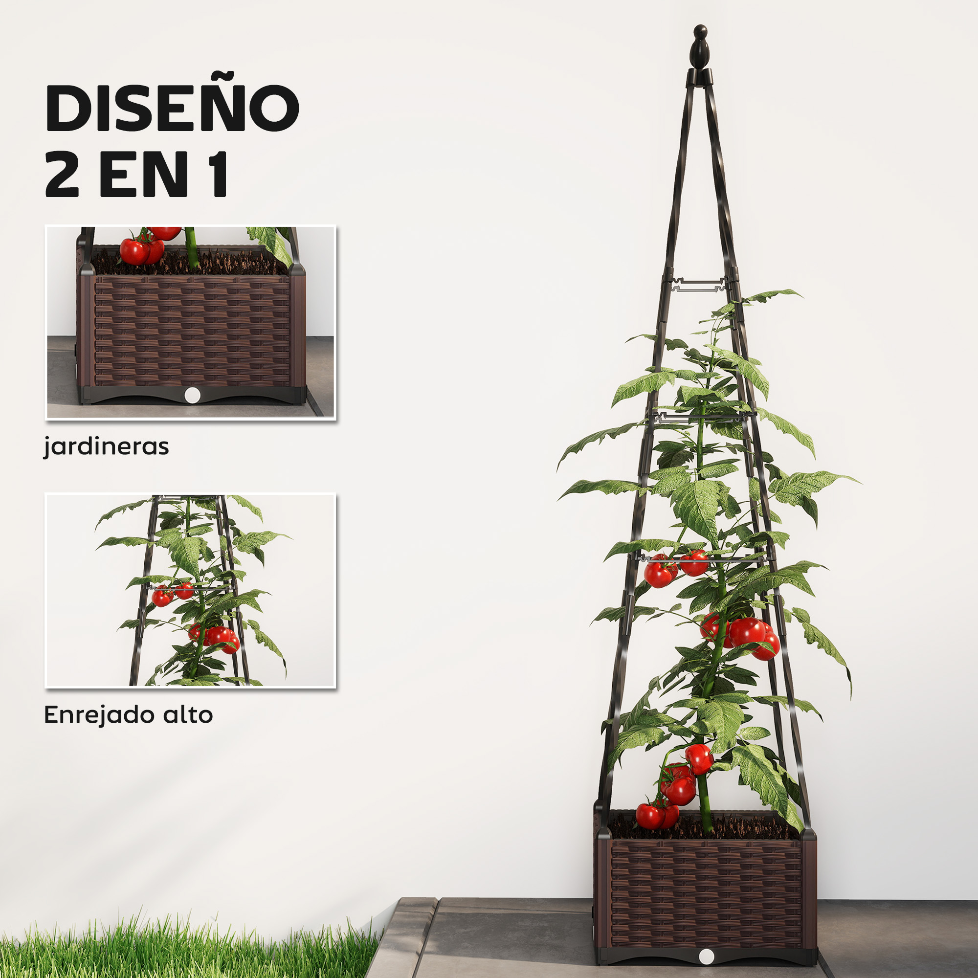 T1008-01-10103 image 1