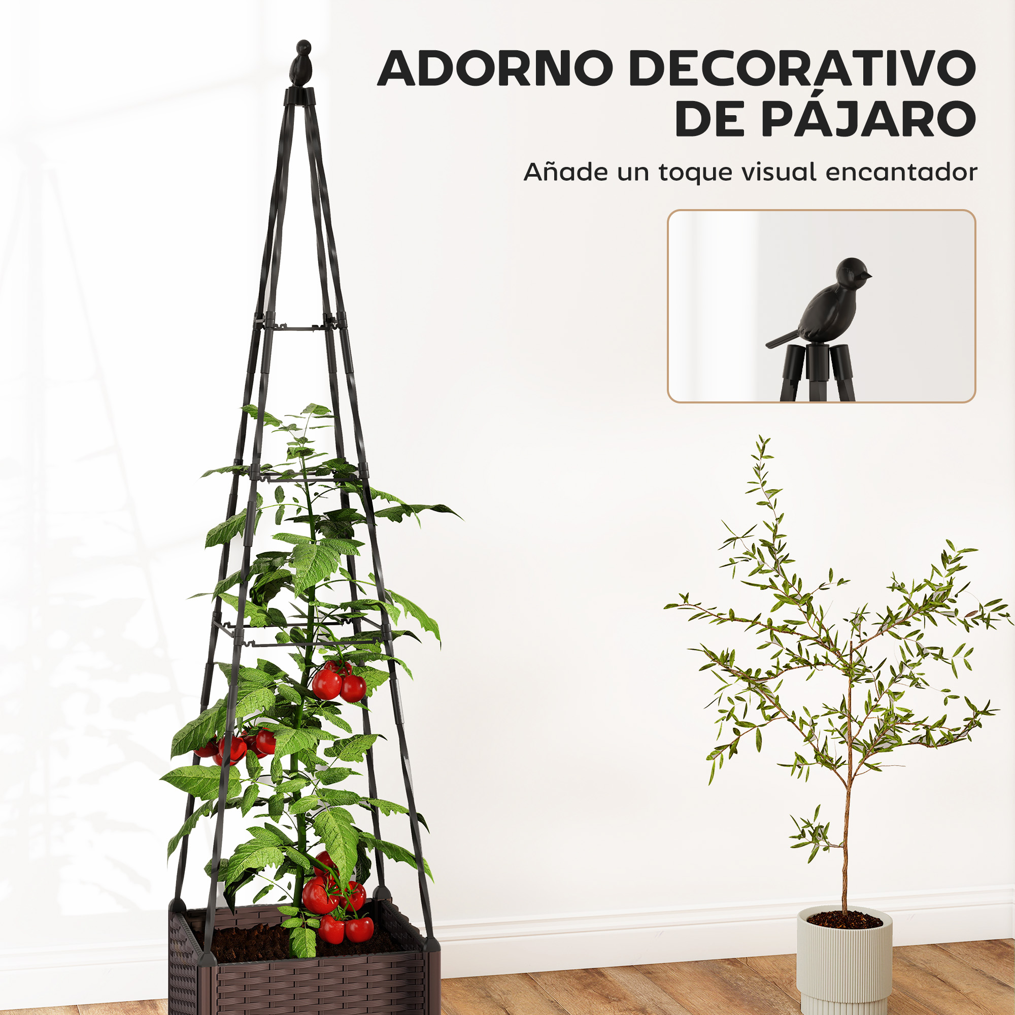 T1008-01-10103 image 3