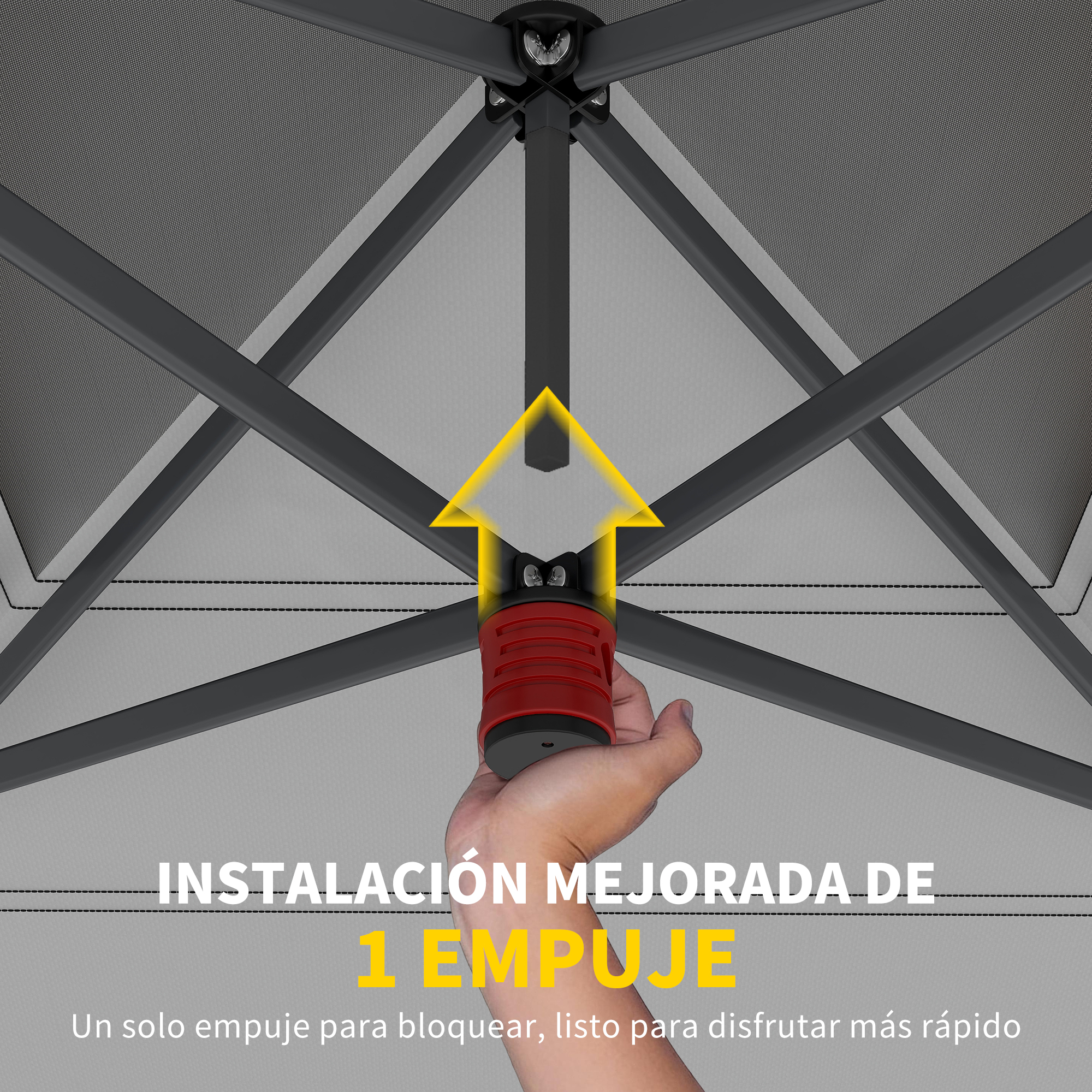 T1008-01-10835 image 1