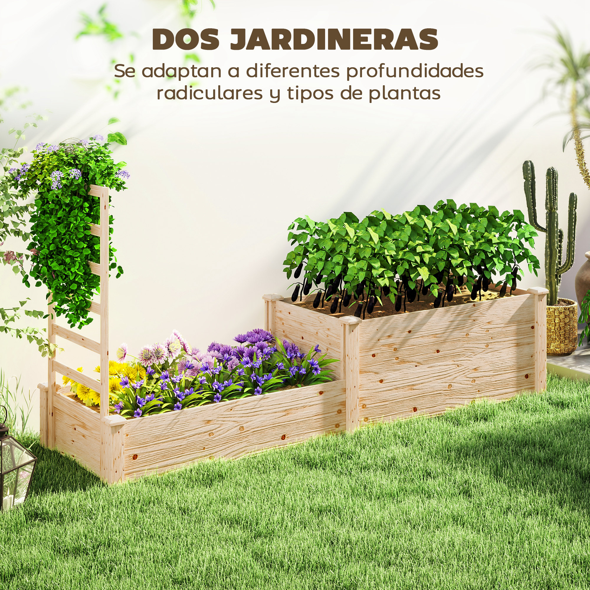 T1008-01-10057 image 1