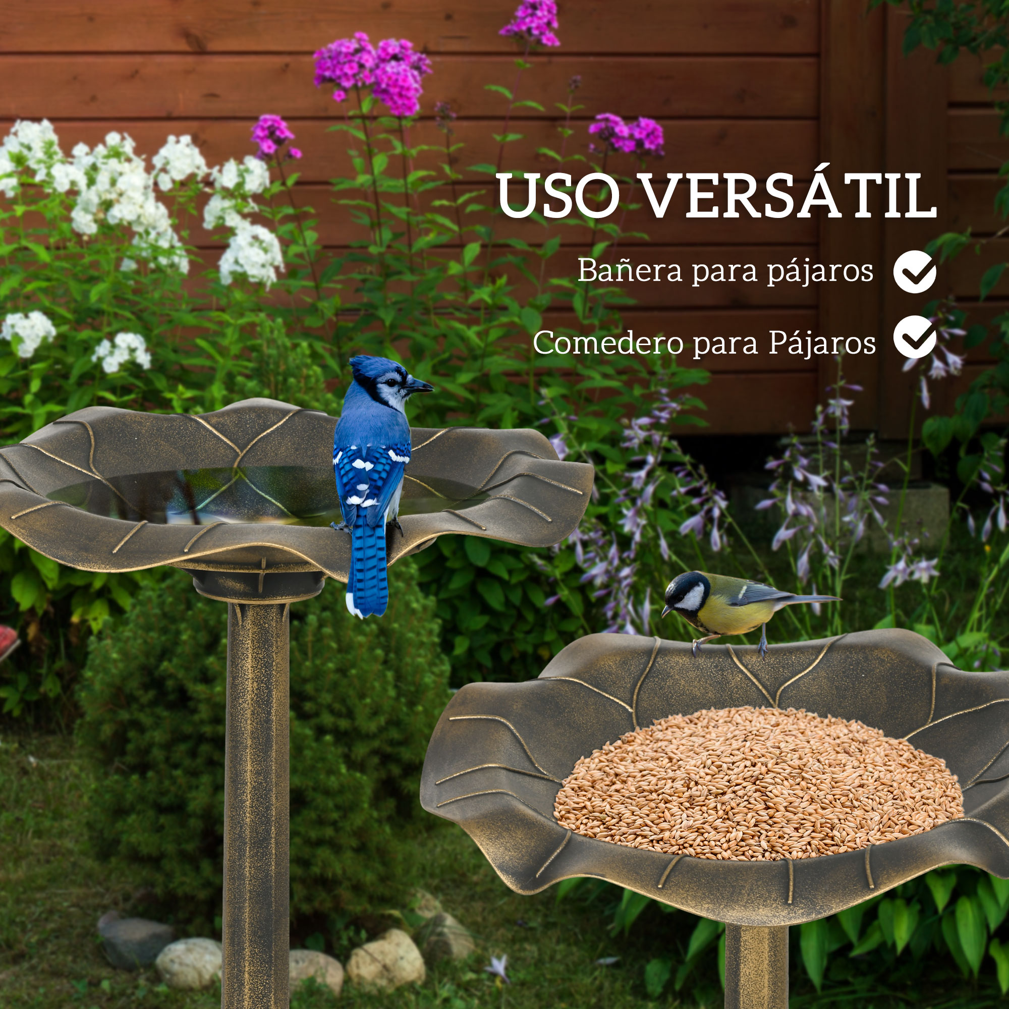 T1008-01-10231 image 1