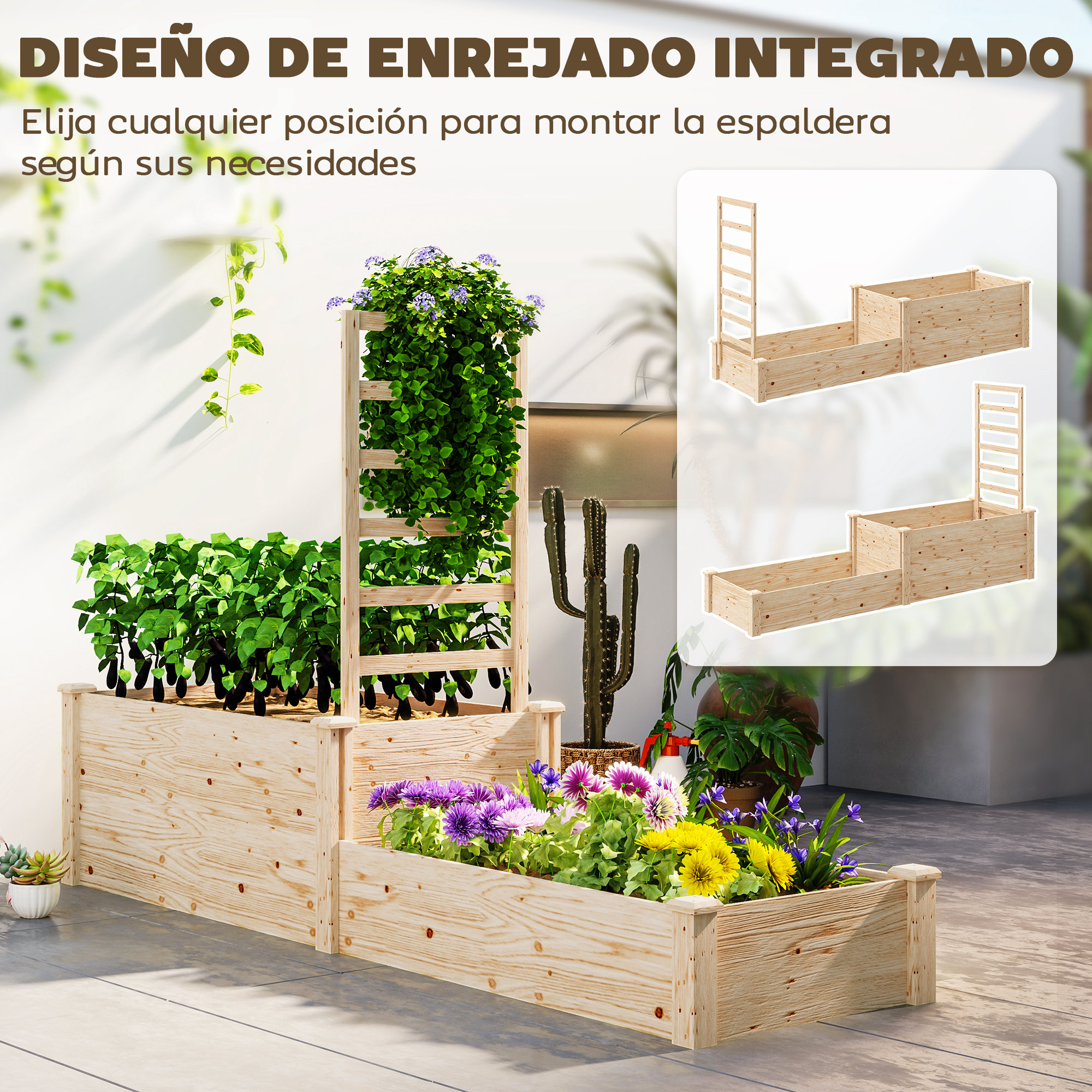 T1008-01-10057 image 2