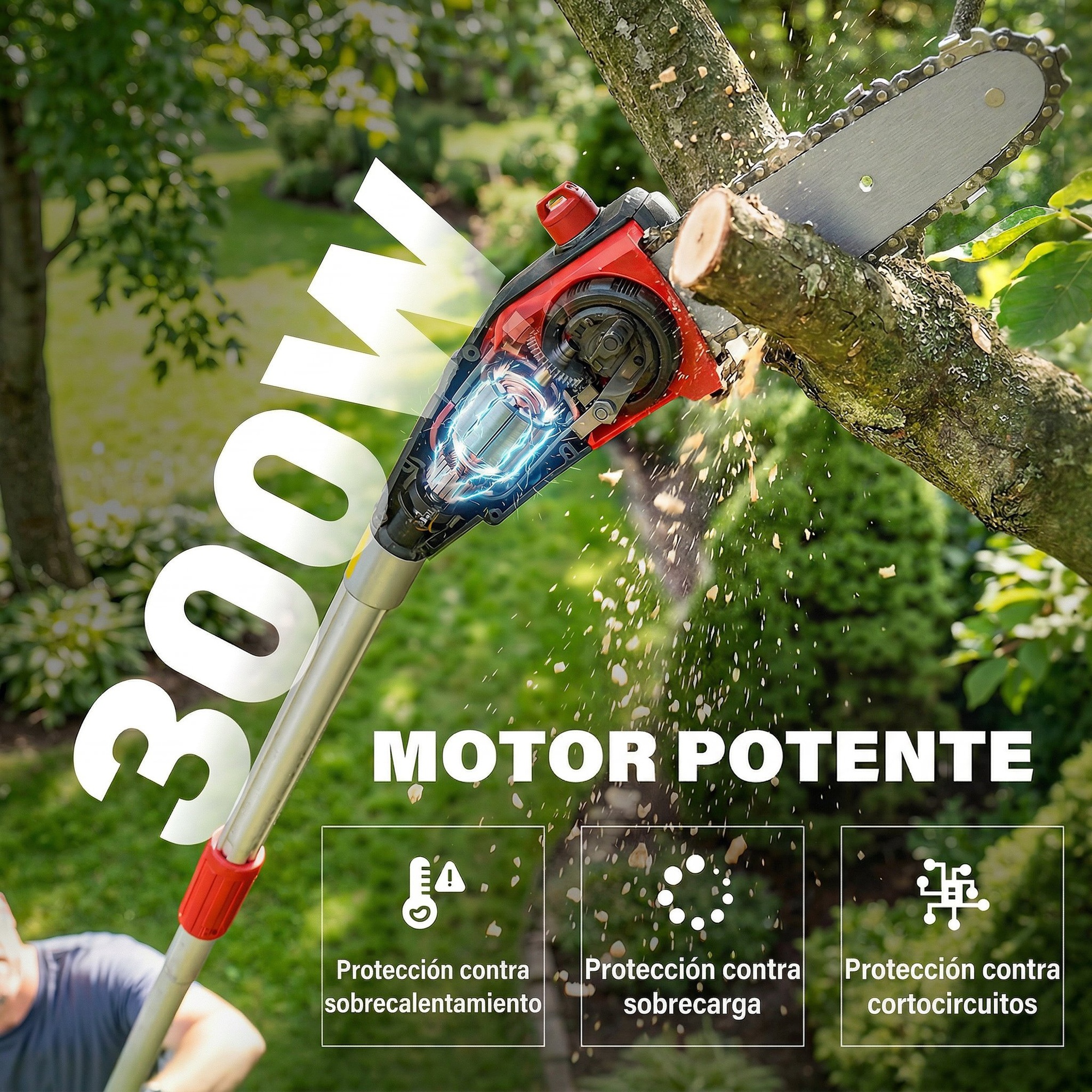 T1008-01-10493 image 1