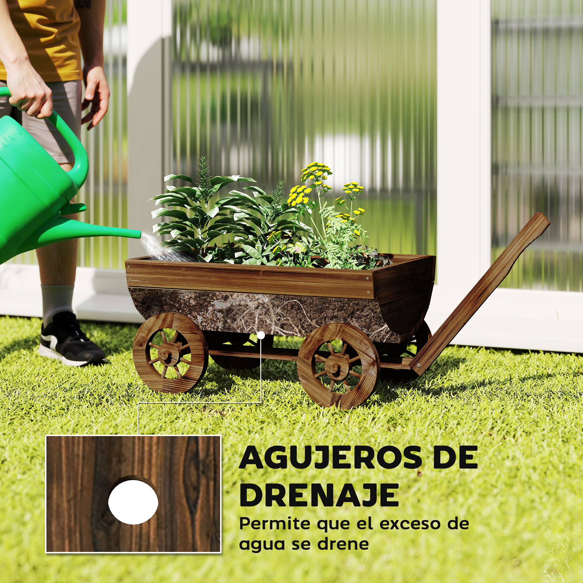 T1008-01-10930 image 2