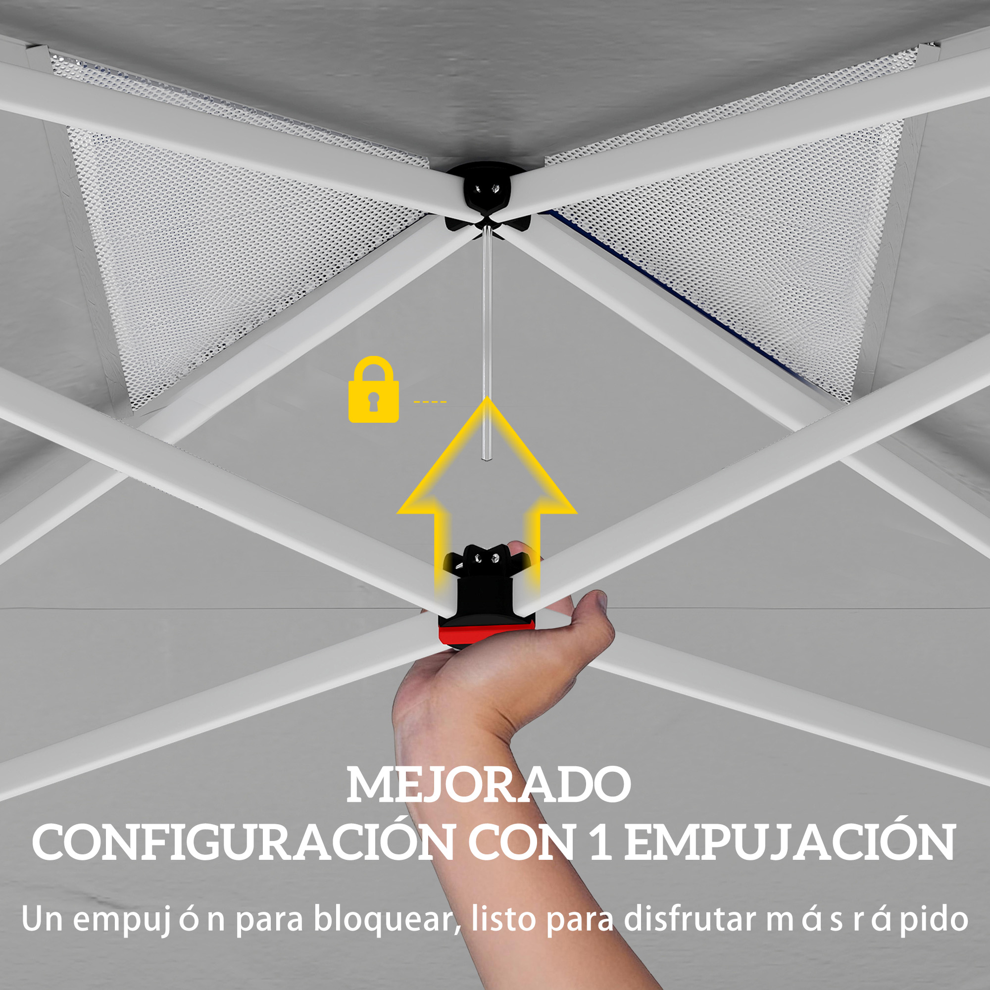 T1008-01-10675 image 2