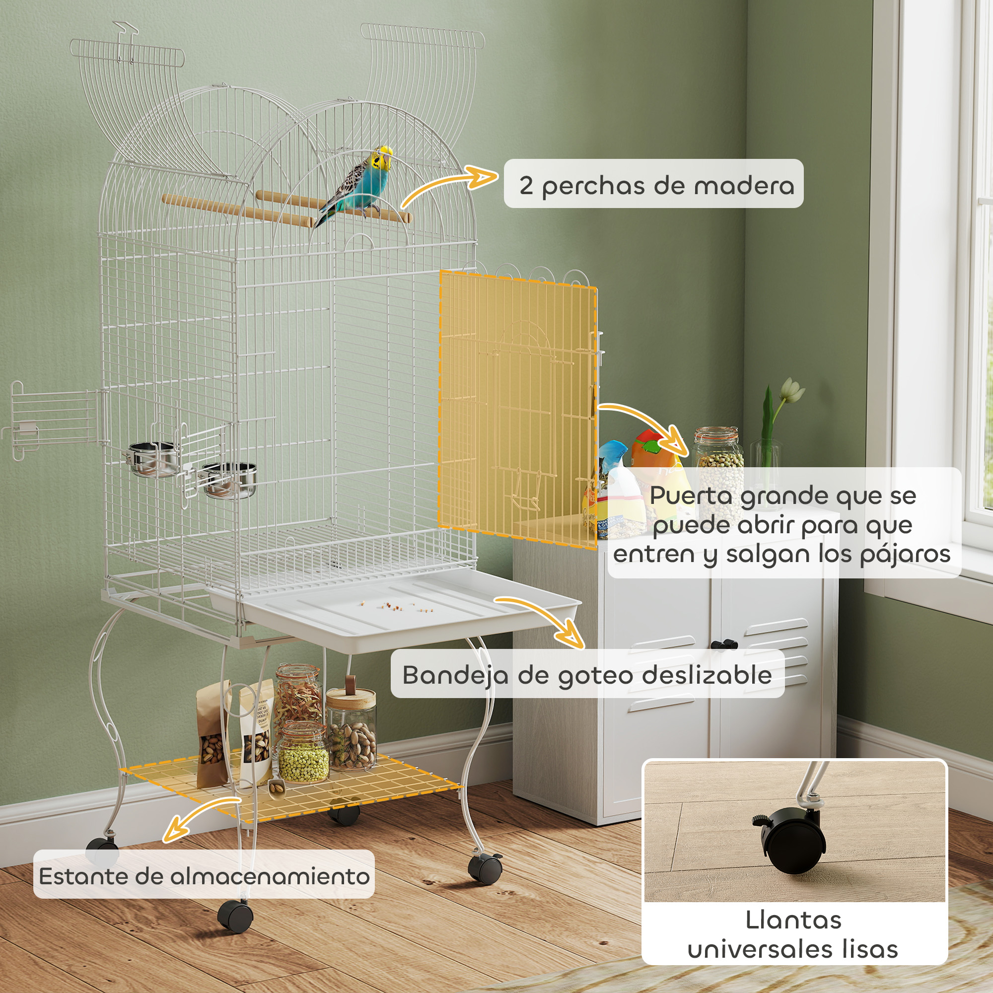 T1008-01-10551 image 2