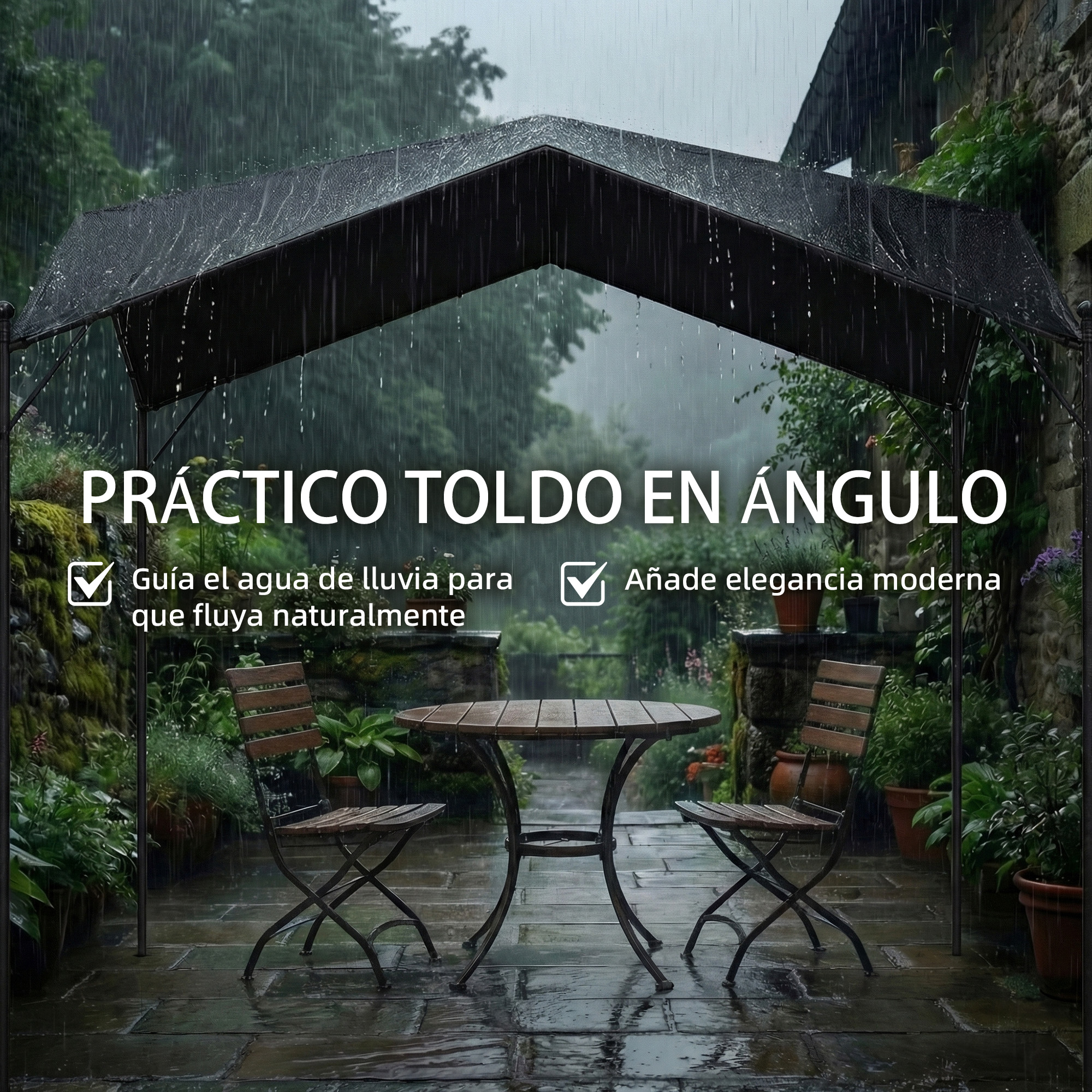 T1008-01-11022 image 1