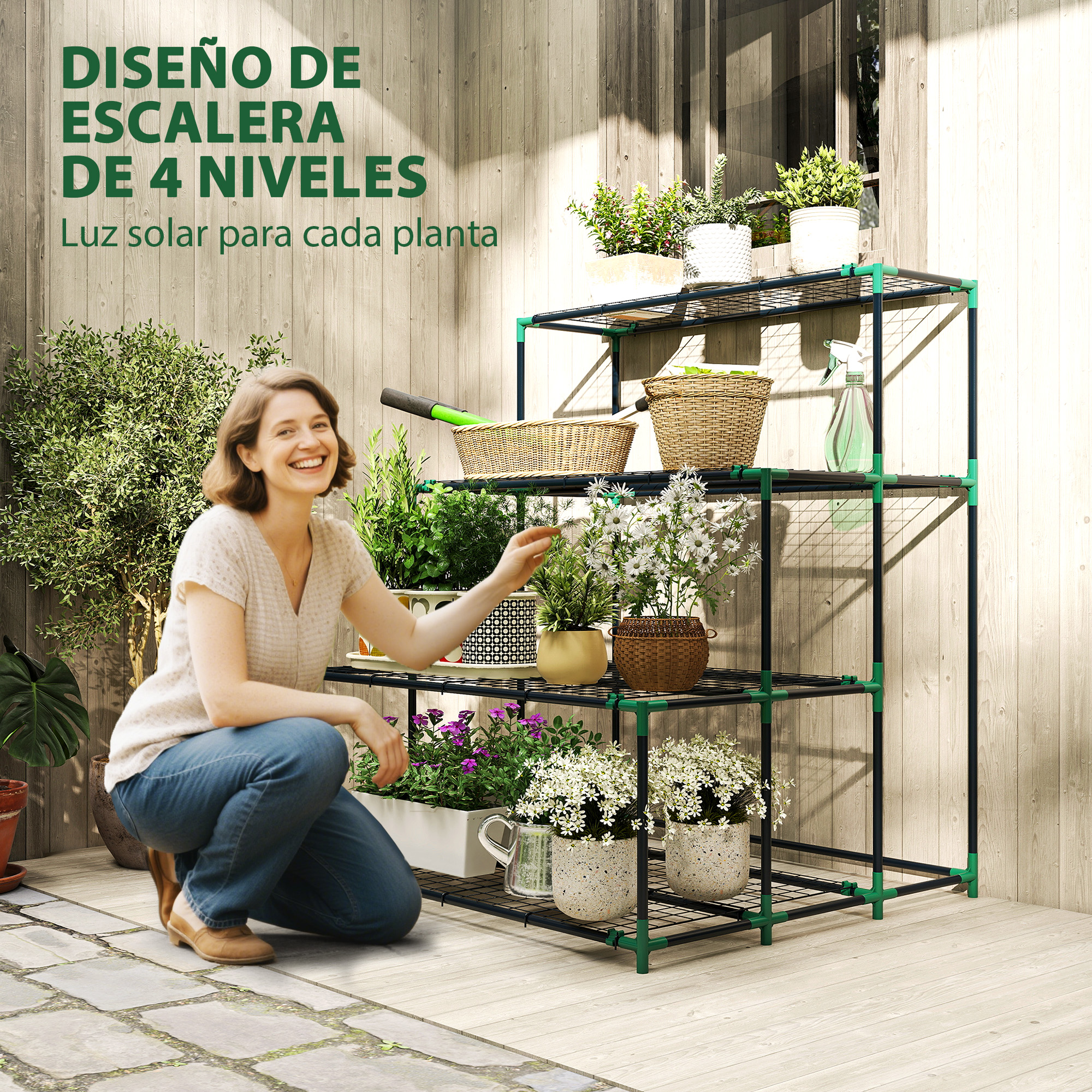 T1008-01-10494 image 1