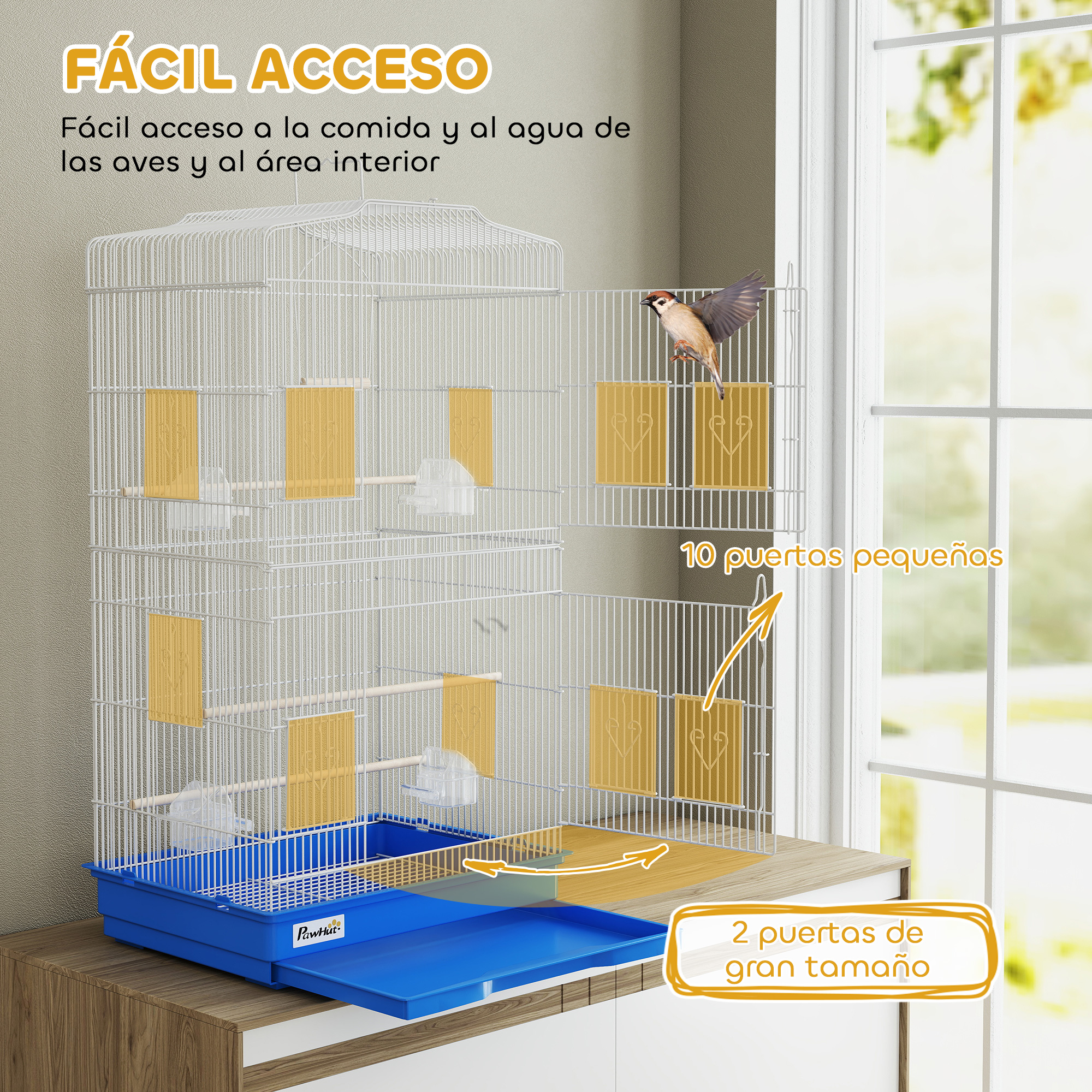 T1008-01-11099 image 1