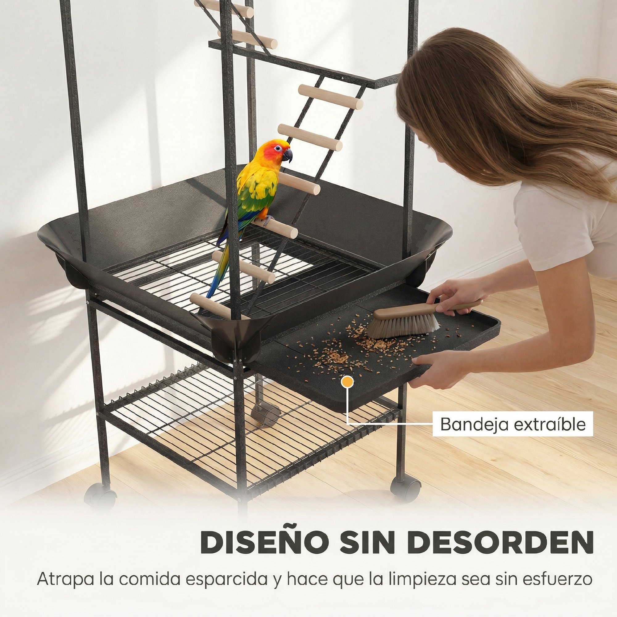 T1008-01-11279 image 2