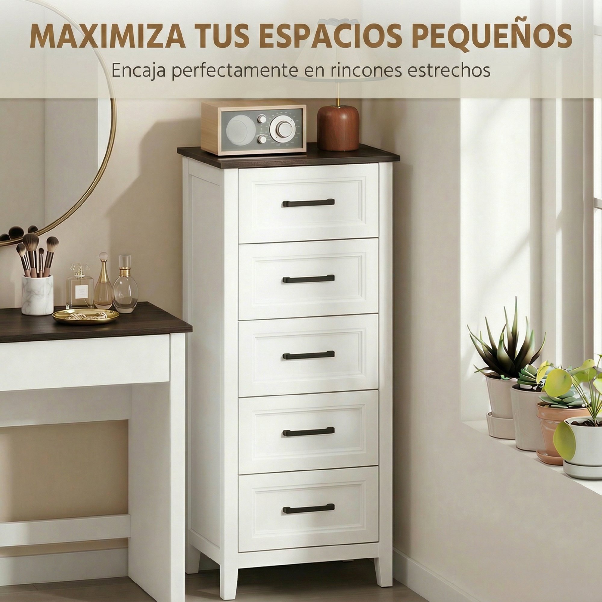 T1008-01-11315 image 1